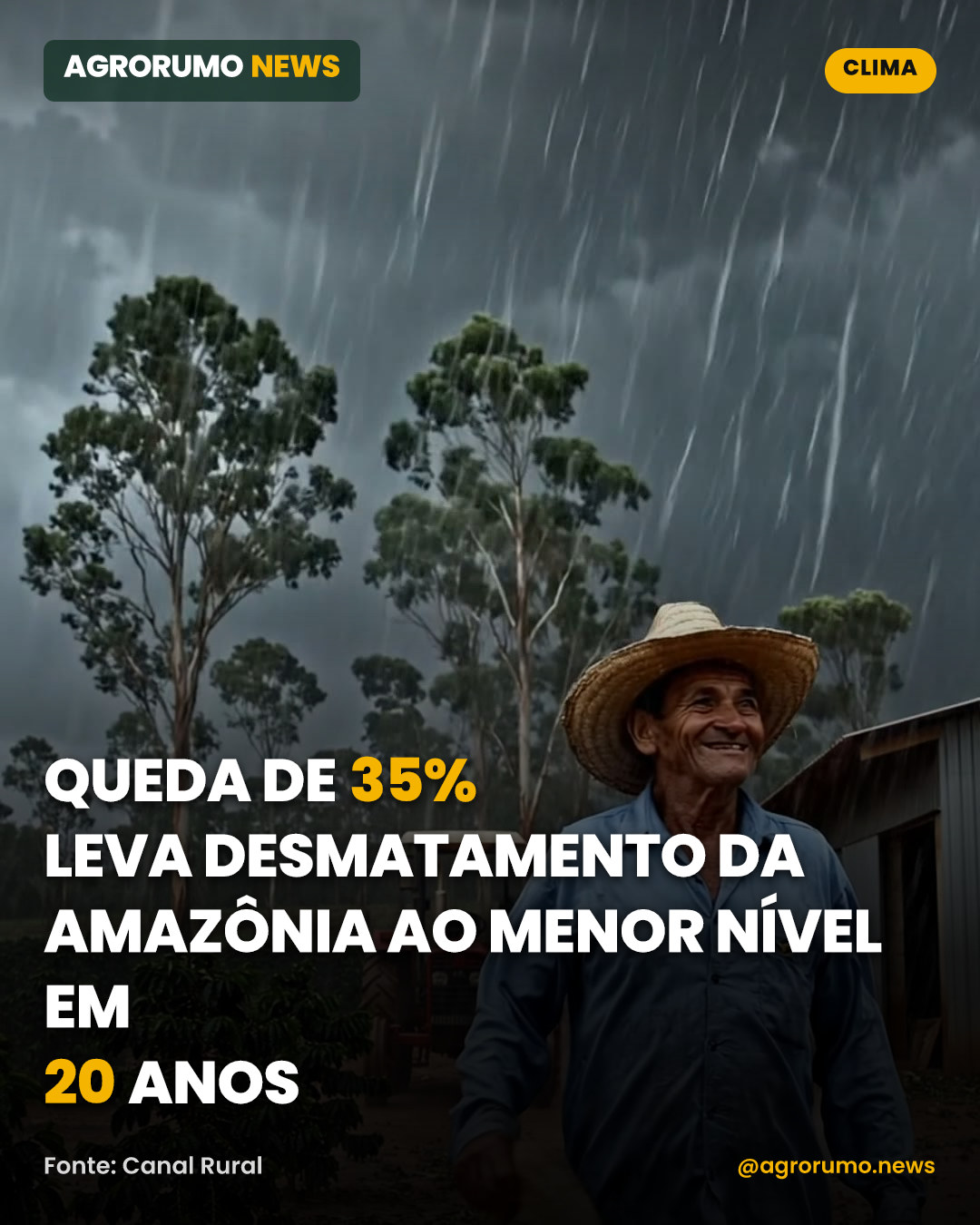 Queda de 35% leva desmatamento da Amazônia ao menor nível em 20 anos