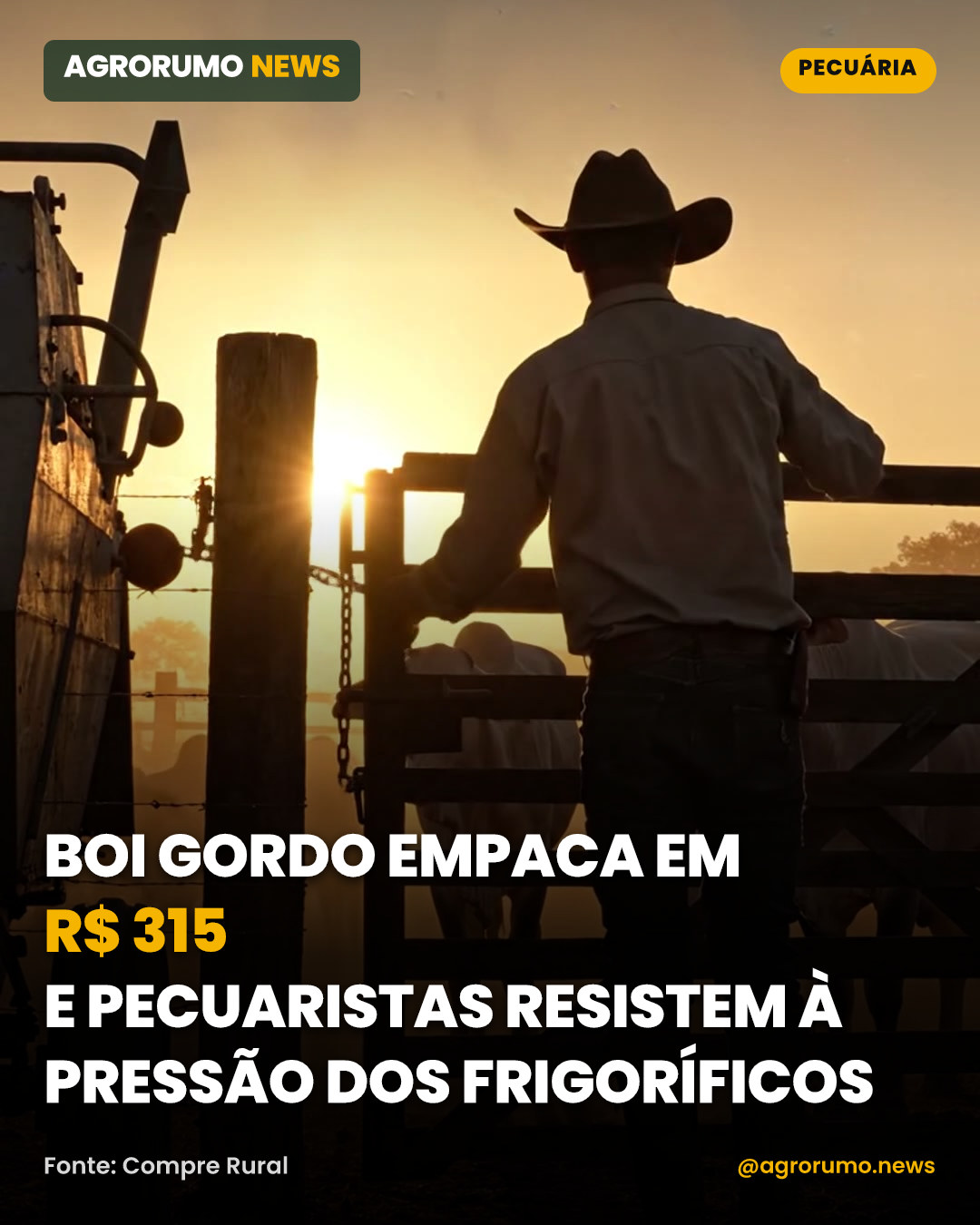 Boi gordo empaca em R$ 315 e pecuaristas resistem à pressão dos frigoríficos