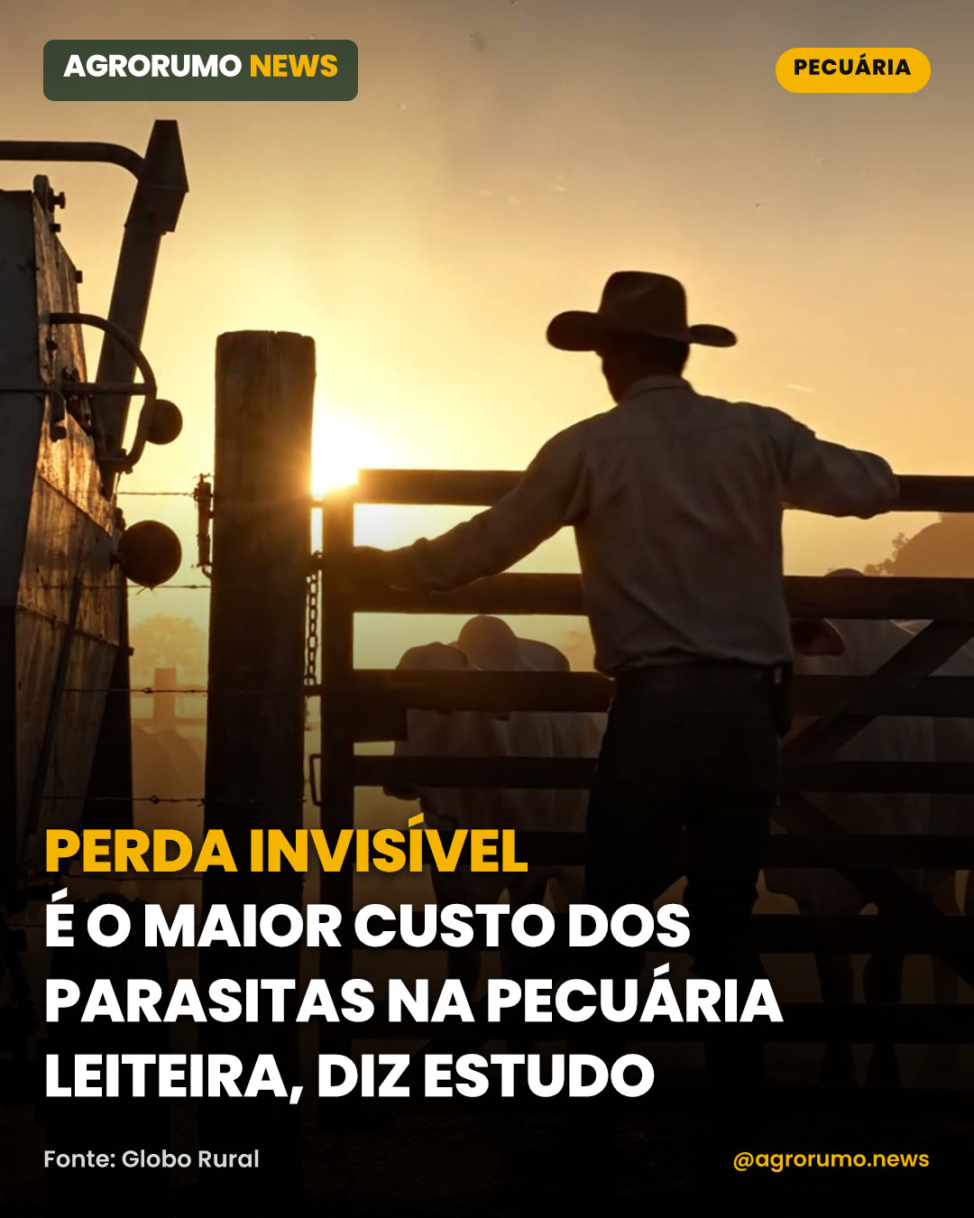 Perda invisível é o maior custo dos parasitas na pecuária leiteira, diz estudo