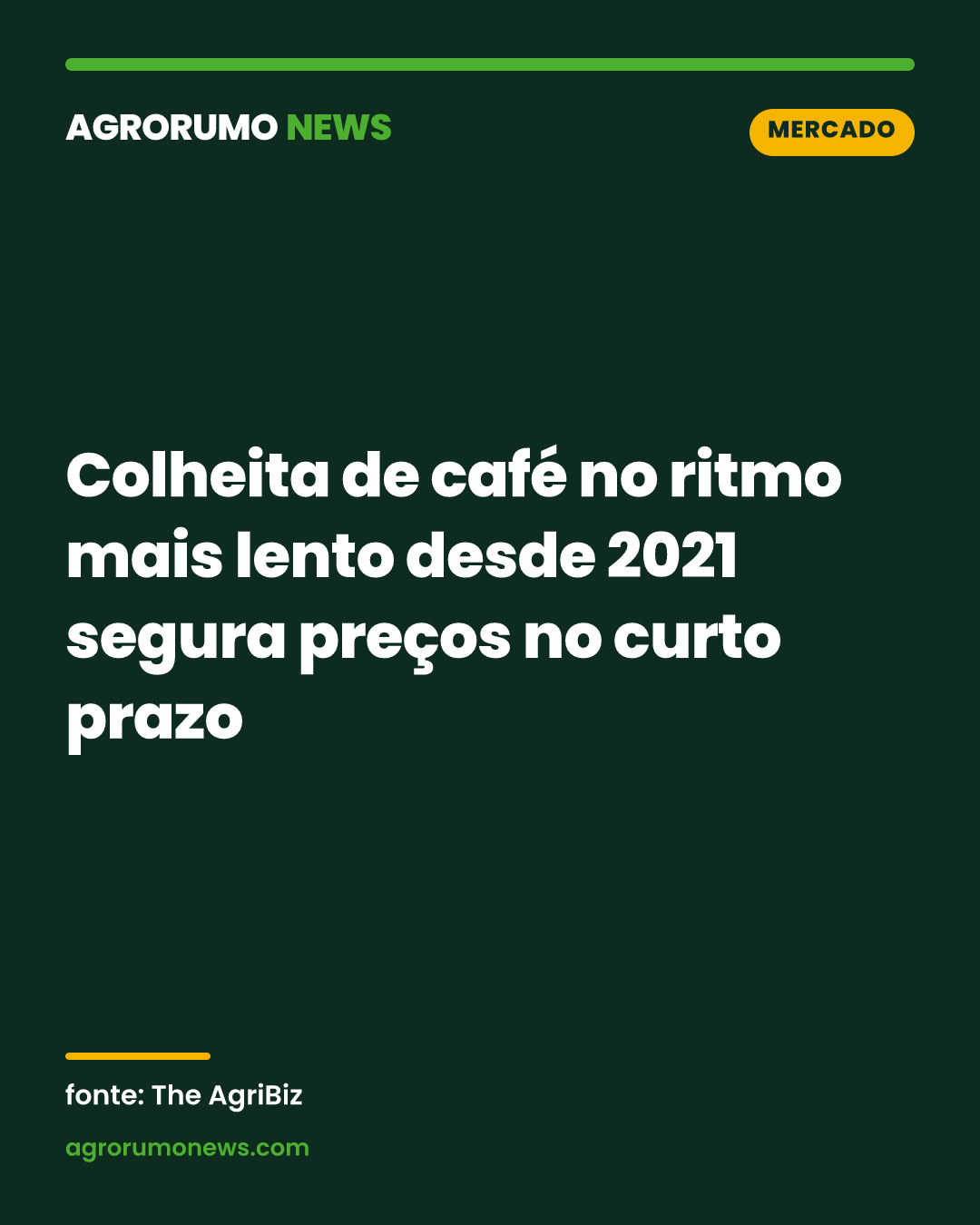 Colheita de café no ritmo mais lento desde 2021 segura preços no curto prazo