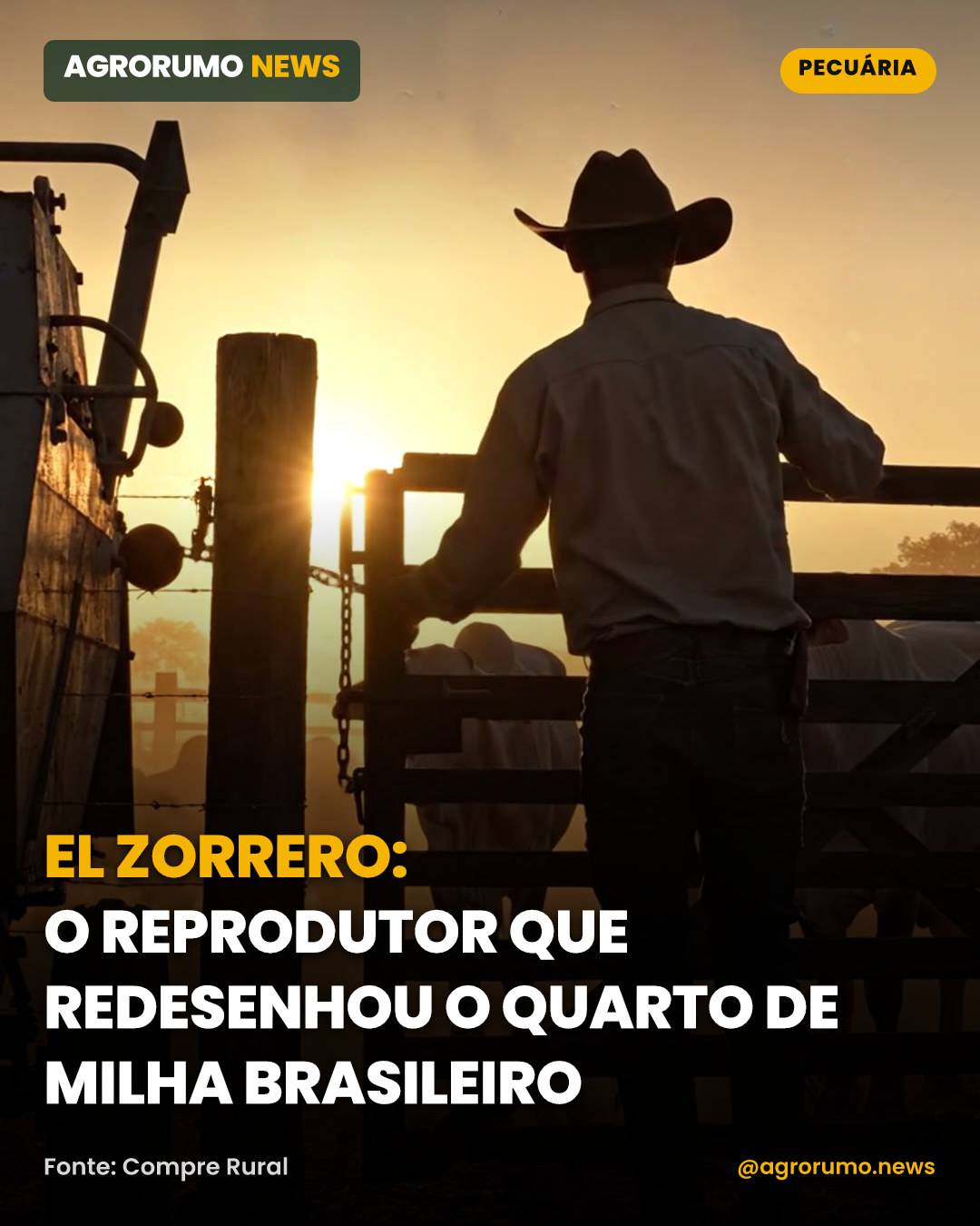 El Zorrero: o reprodutor que redesenhou o Quarto de Milha brasileiro