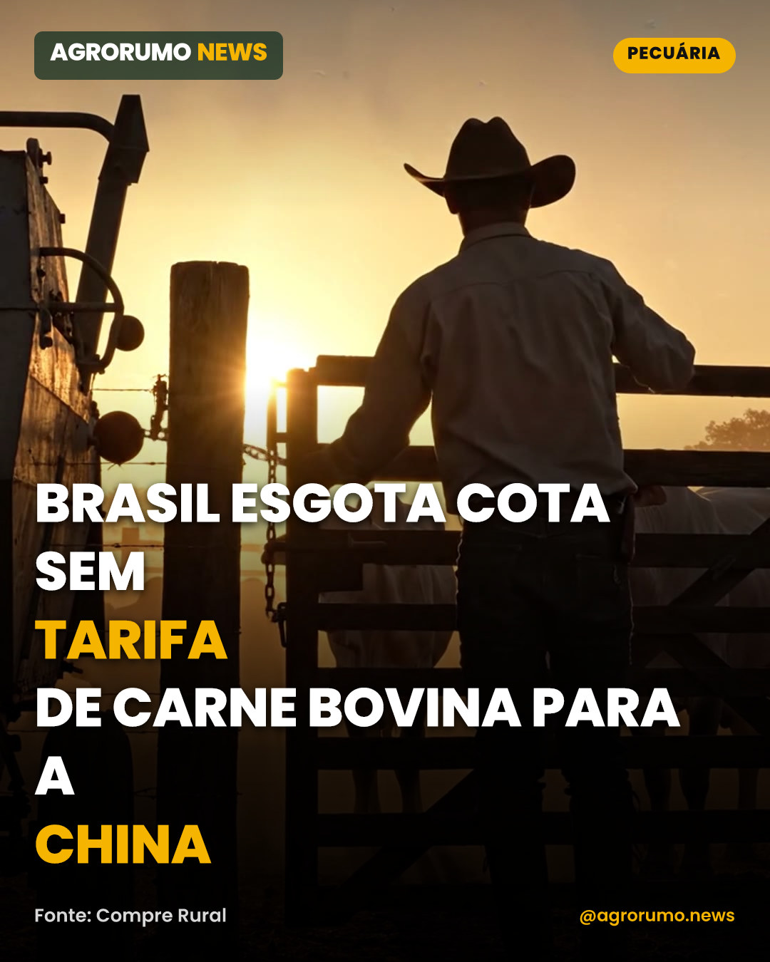 Brasil esgota cota sem tarifa de carne bovina para a China
