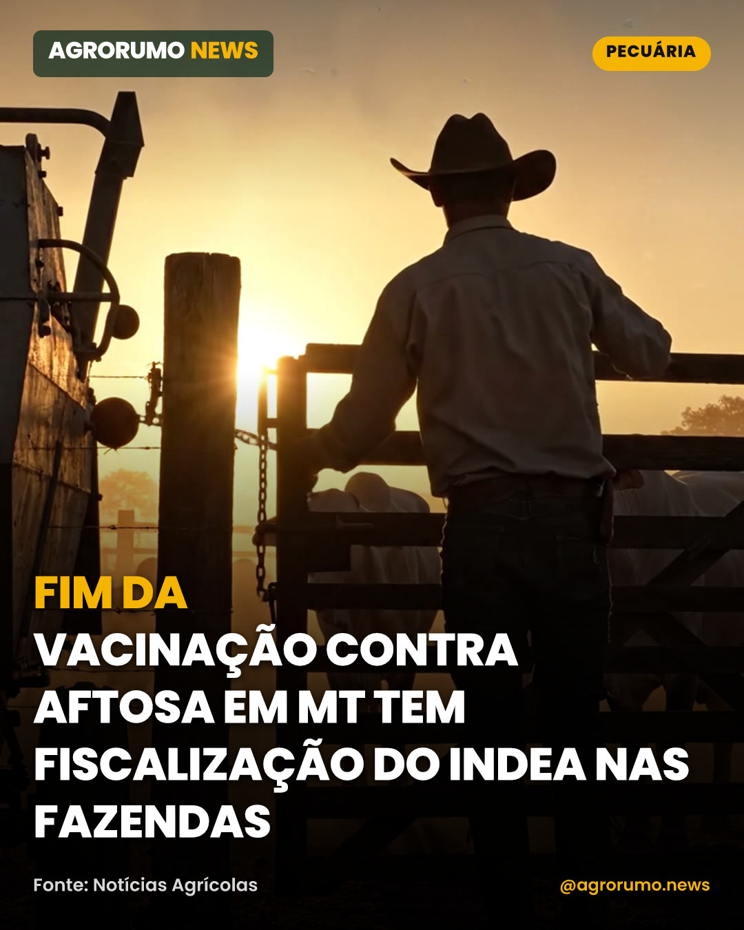 Fim da vacinação contra aftosa em MT tem fiscalização do Indea nas fazendas