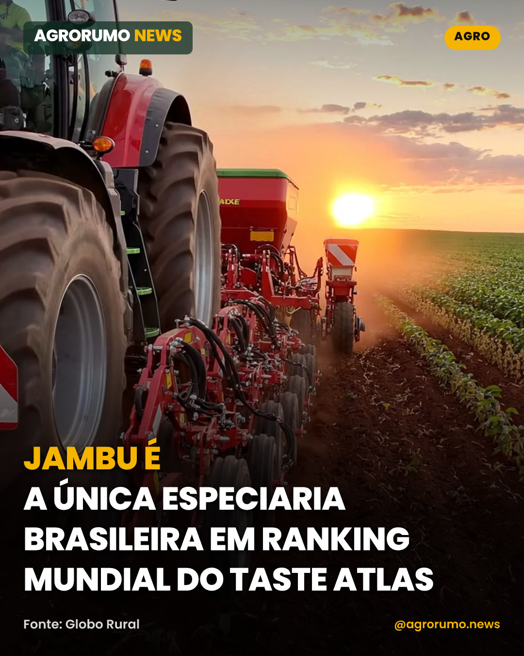 Jambu é a única especiaria brasileira em ranking mundial do Taste Atlas