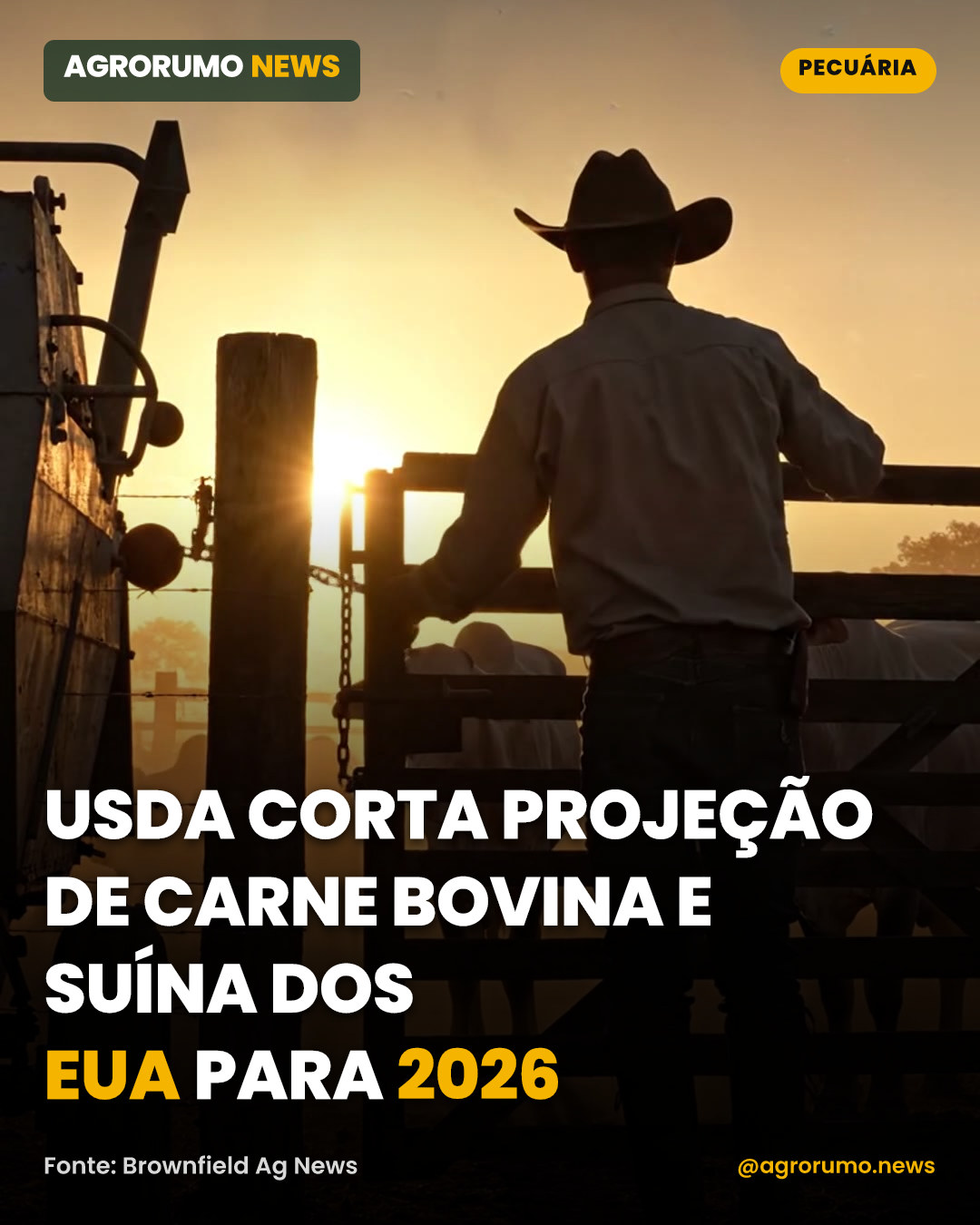 USDA corta projeção de carne bovina e suína dos EUA para 2026