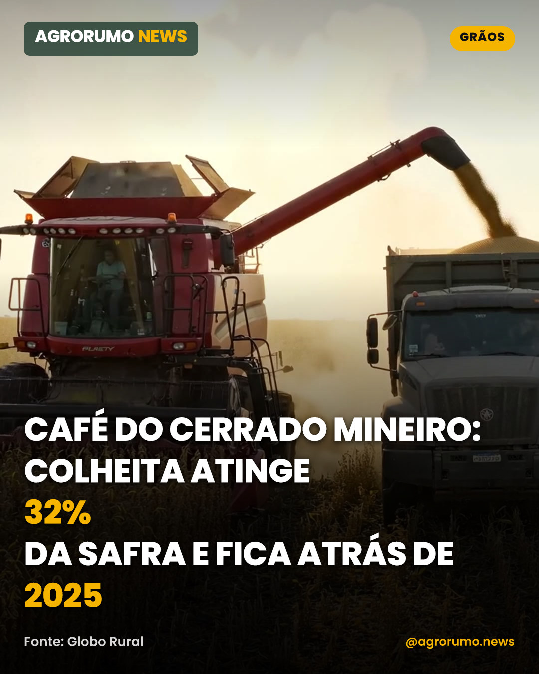 Café do Cerrado Mineiro: colheita atinge 32% da safra e fica atrás de 2025