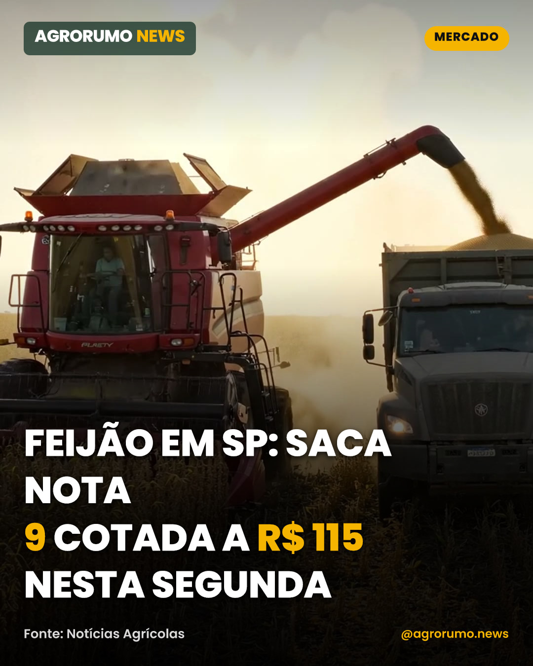 Feijão em SP: saca nota 9 cotada a R$ 115 nesta segunda