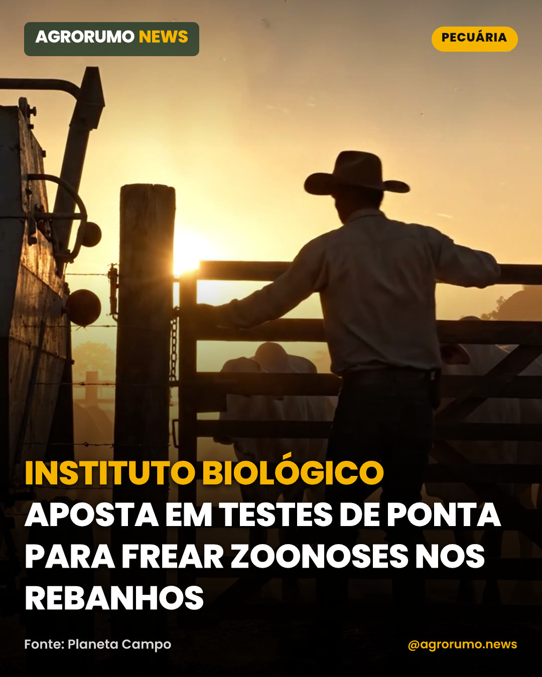 Instituto Biológico aposta em testes de ponta para frear zoonoses nos rebanhos