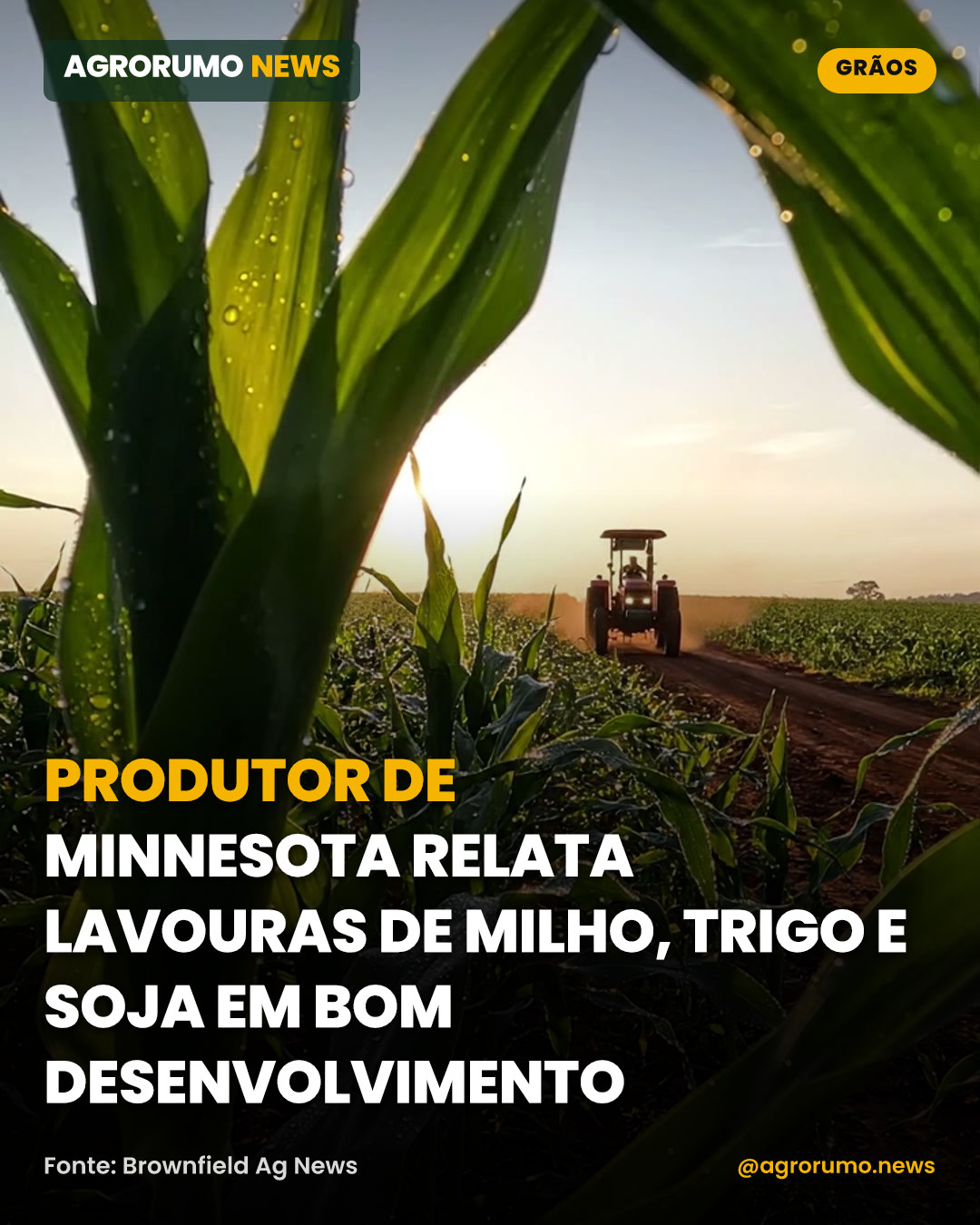 Produtor de Minnesota relata lavouras de milho, trigo e soja em bom desenvolvimento