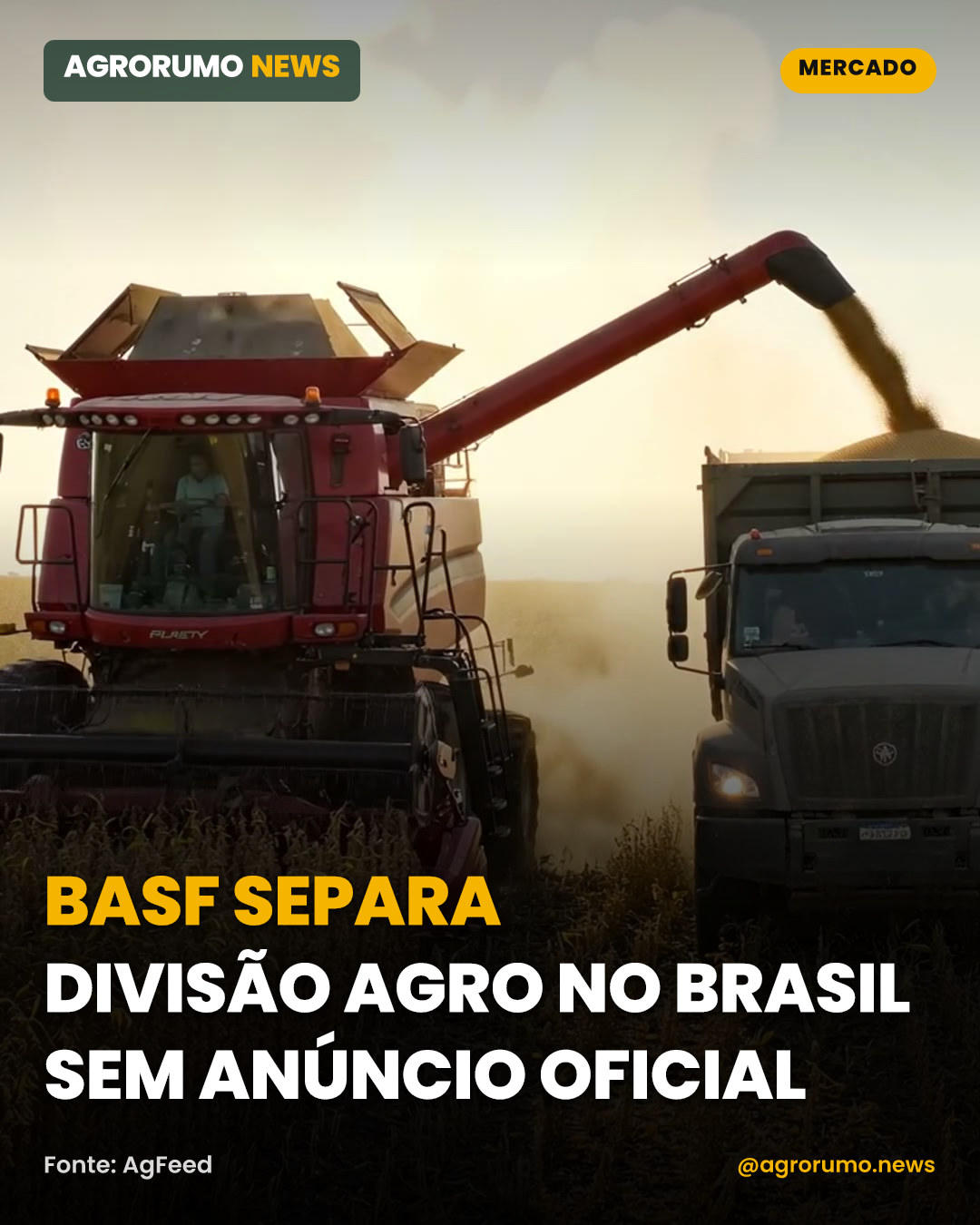 Basf separa divisão agro no Brasil sem anúncio oficial