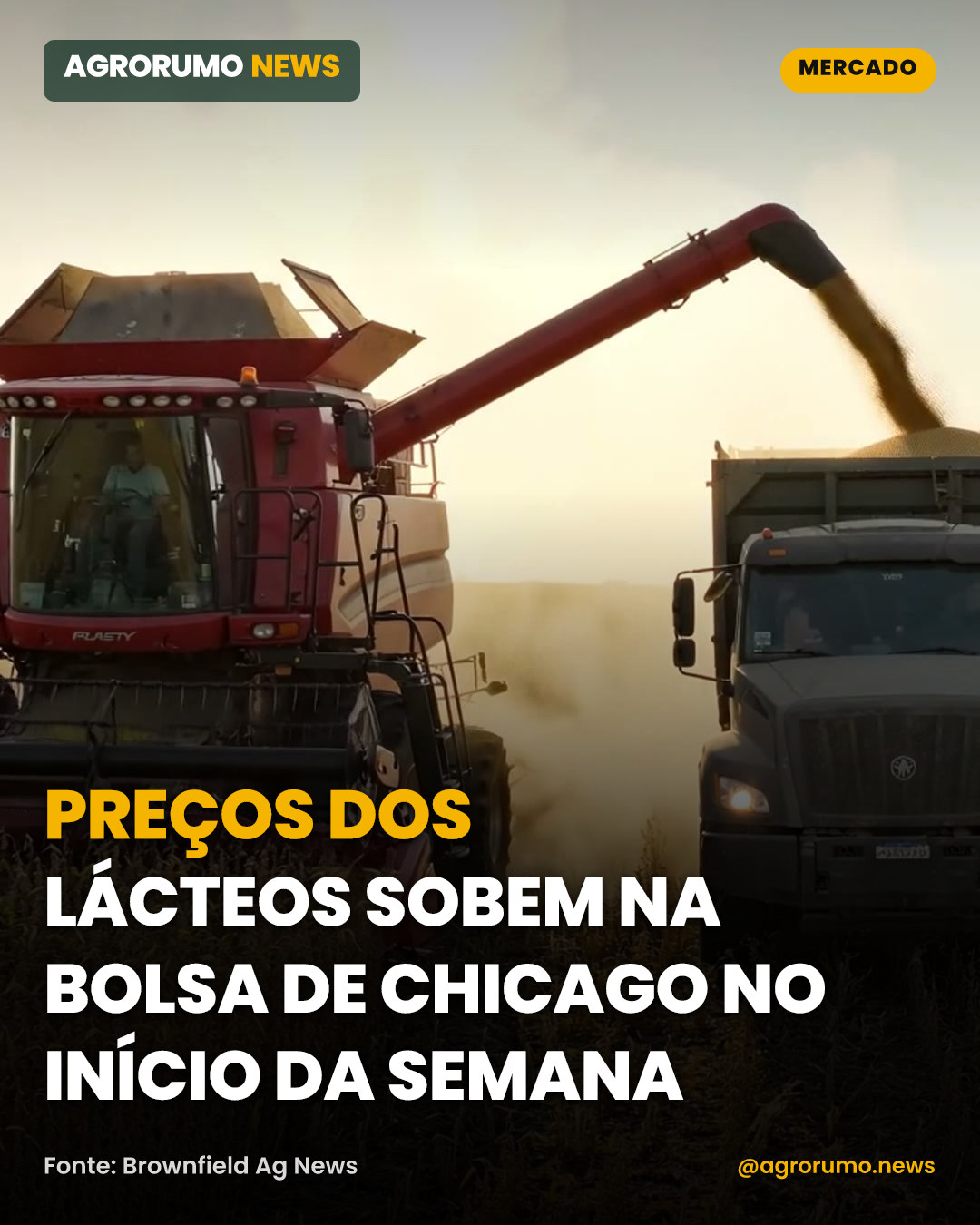 Preços dos lácteos sobem na bolsa de Chicago no início da semana