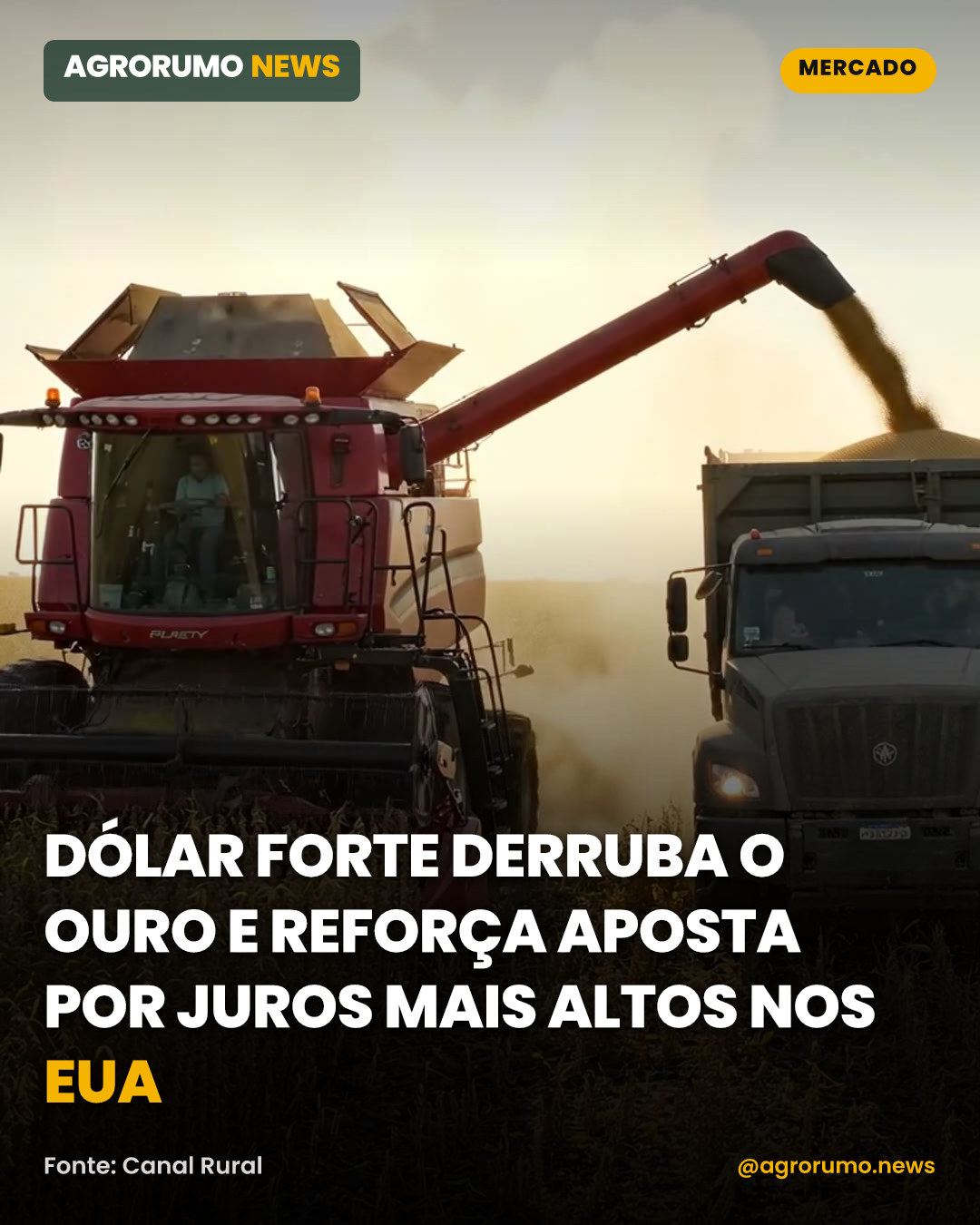 Dólar forte derruba o ouro e reforça aposta por juros mais altos nos EUA