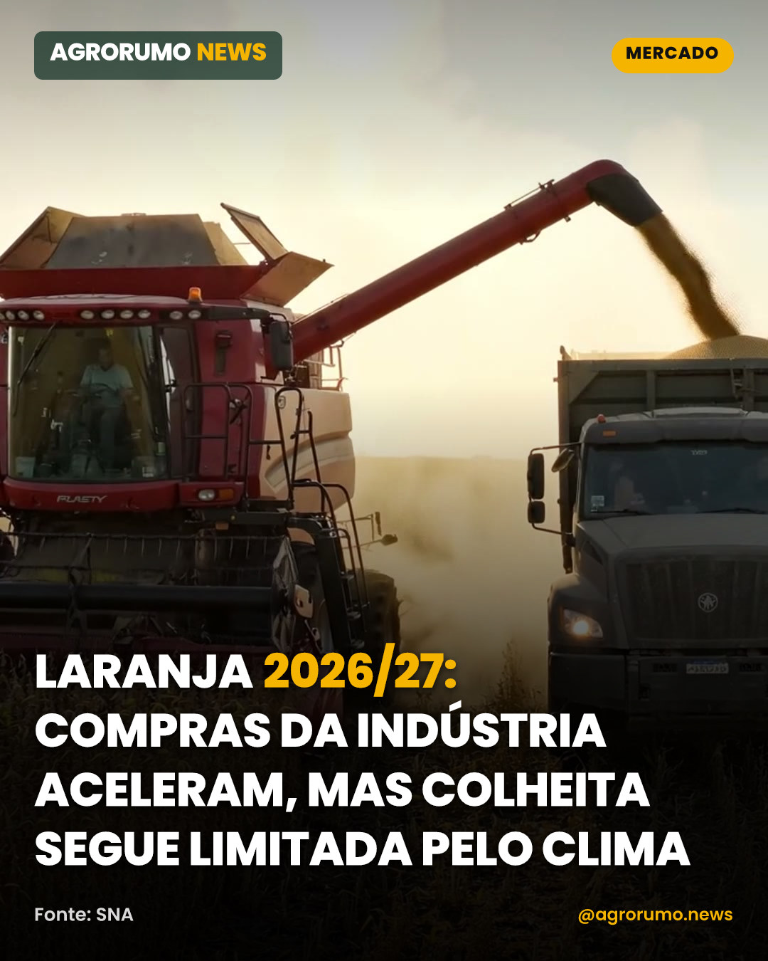 Laranja 2026/27: compras da indústria aceleram, mas colheita segue limitada pelo clima