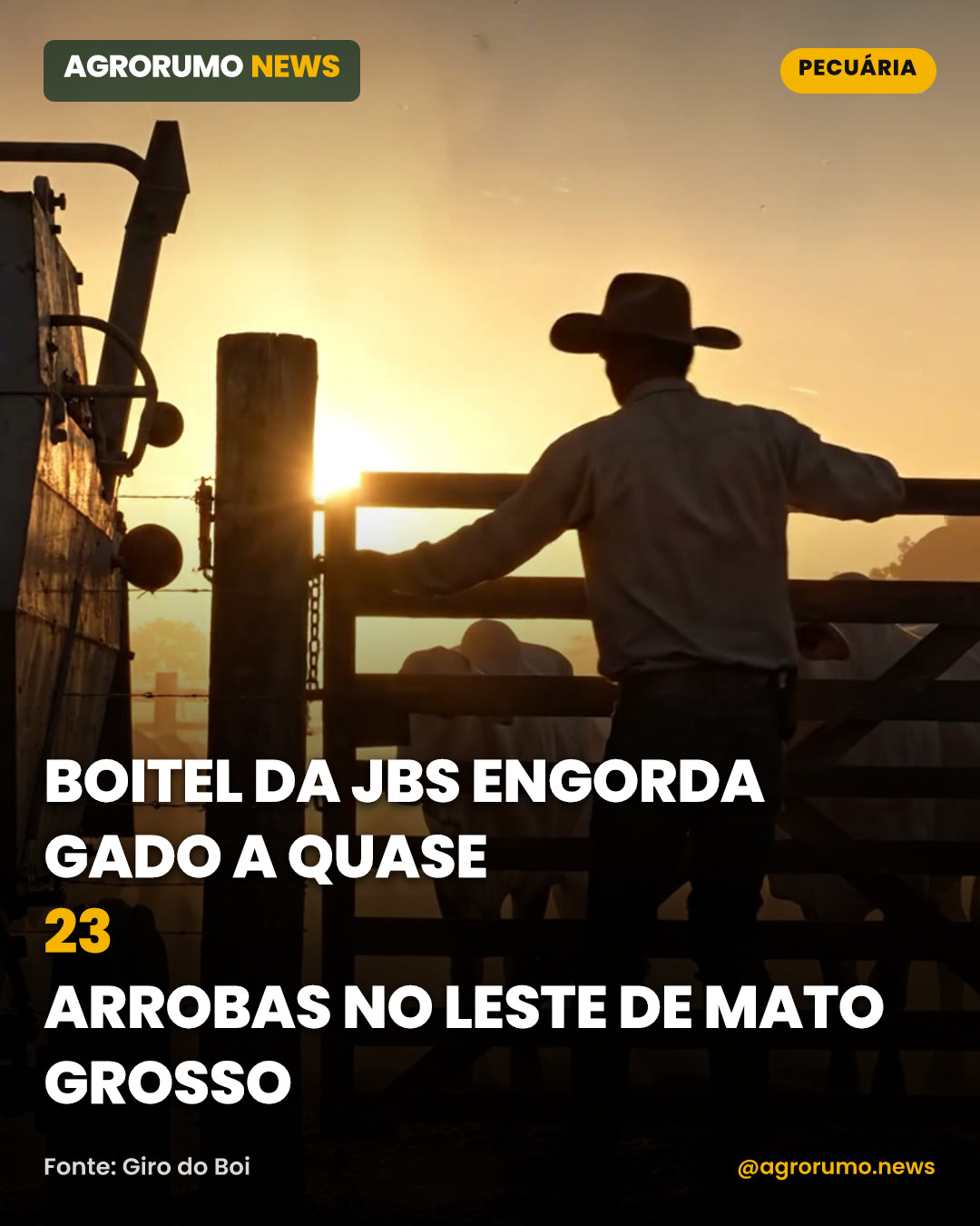 Boitel da JBS engorda gado a quase 23 arrobas no leste de Mato Grosso