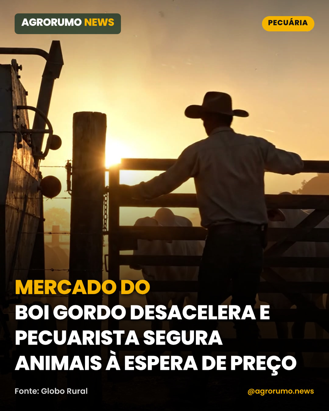 Mercado do boi gordo desacelera e pecuarista segura animais à espera de preço