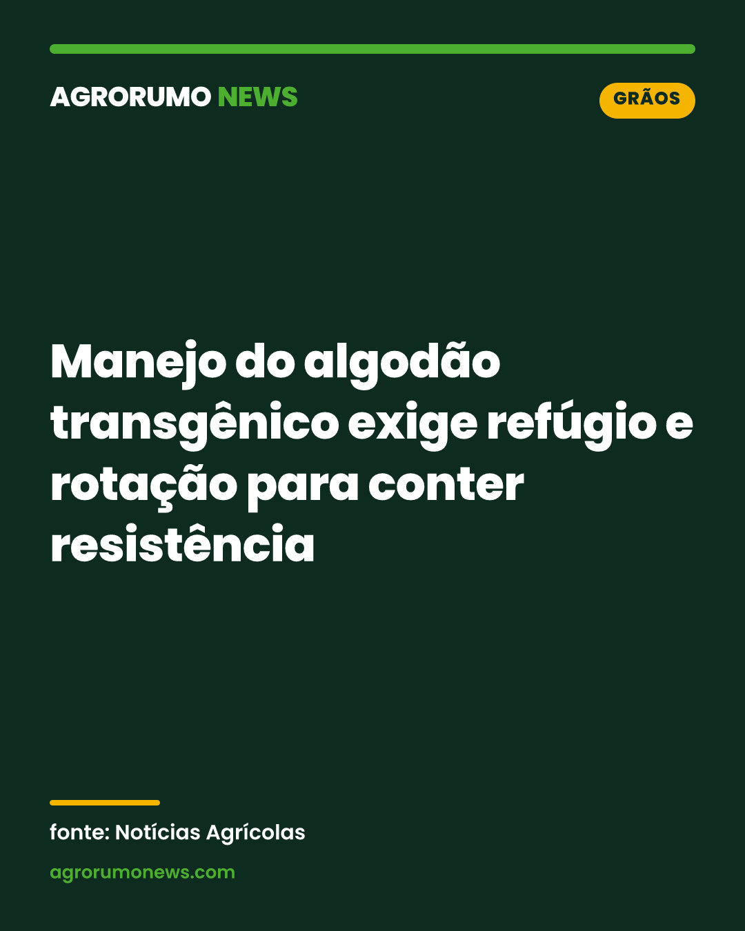 Manejo do algodão transgênico exige refúgio e rotação para conter resistência