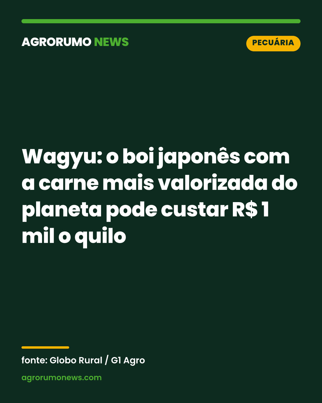 Wagyu: o boi japonês com a carne mais valorizada do planeta pode custar R$ 1 mil o quilo