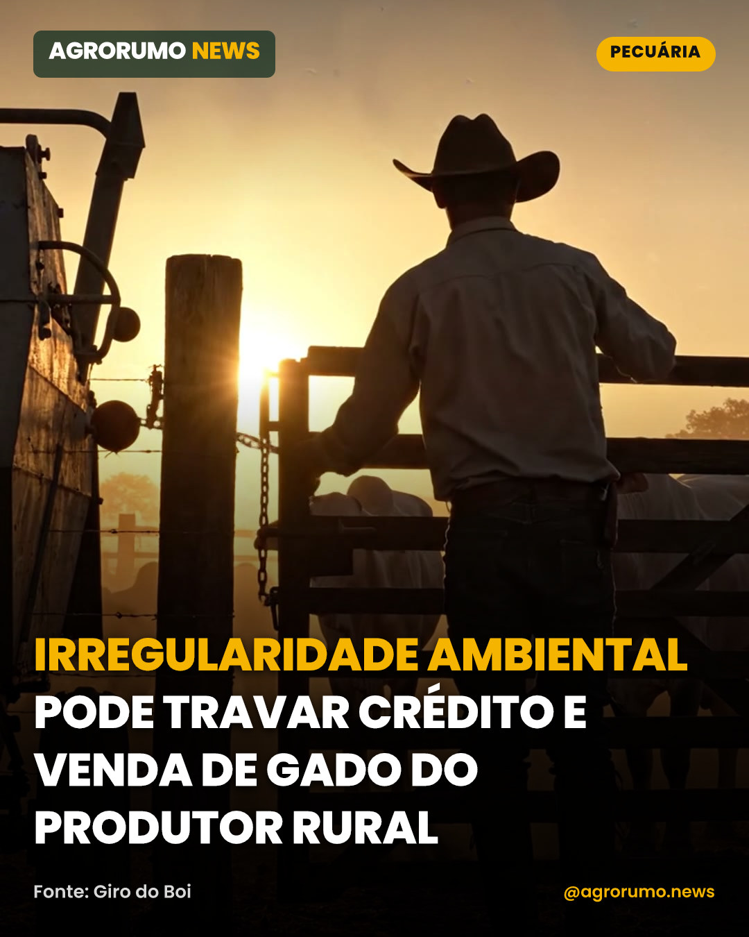 Irregularidade ambiental pode travar crédito e venda de gado do produtor rural