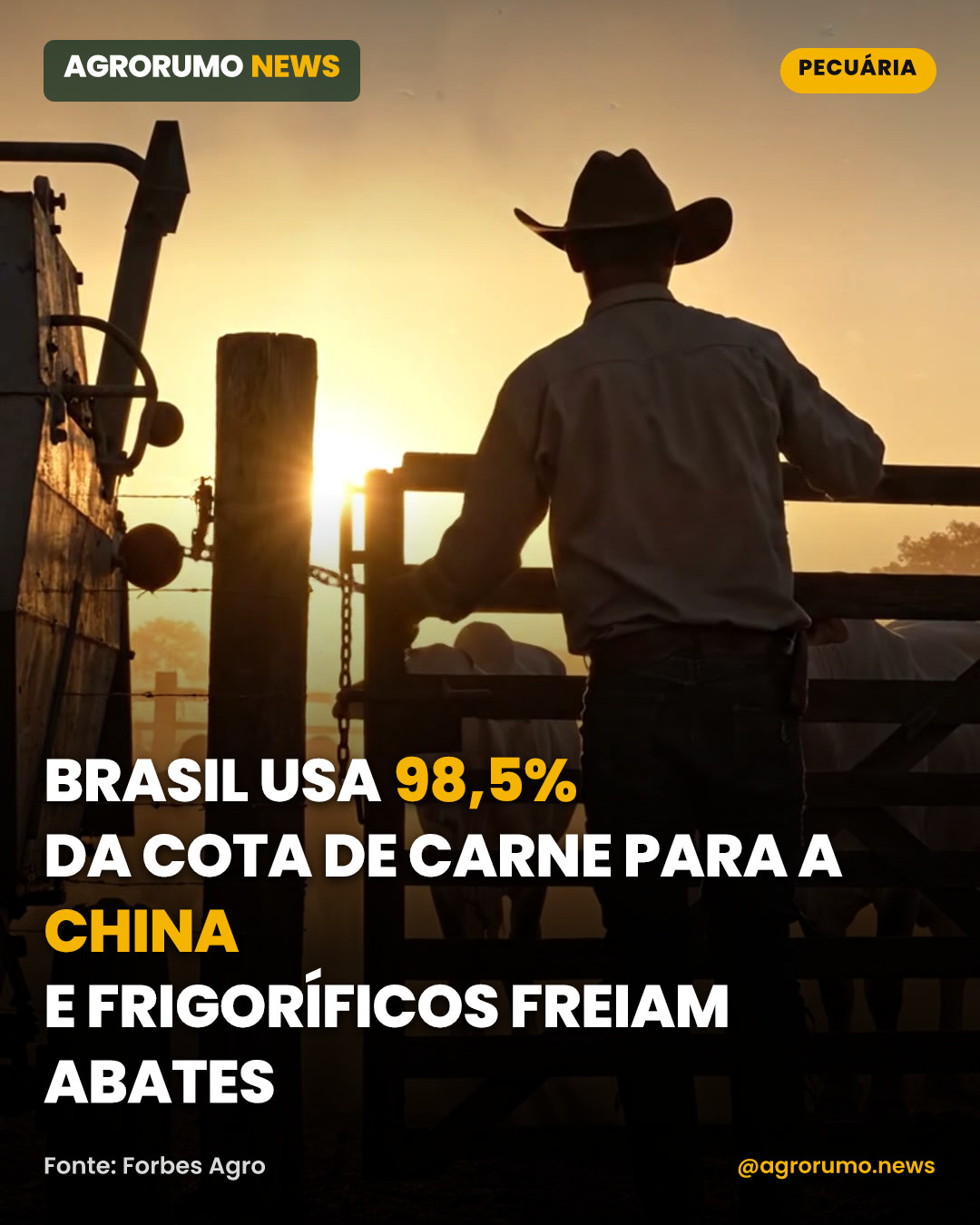 Brasil usa 98,5% da cota de carne para a China e frigoríficos freiam abates