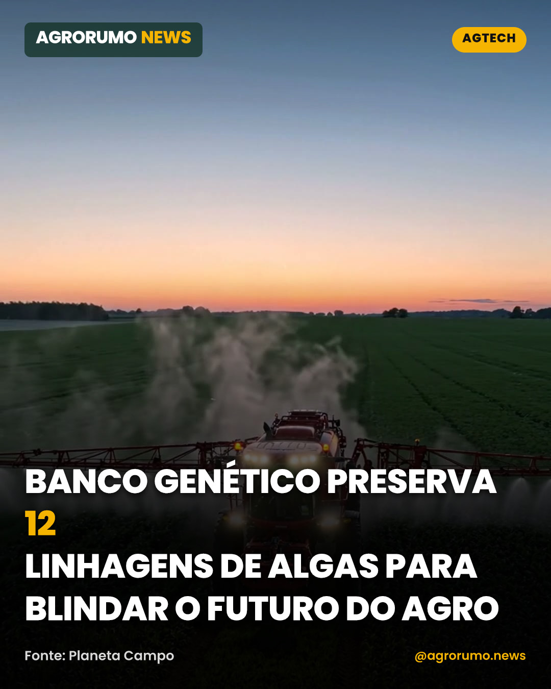 Banco genético preserva 12 linhagens de algas para blindar o futuro do agro