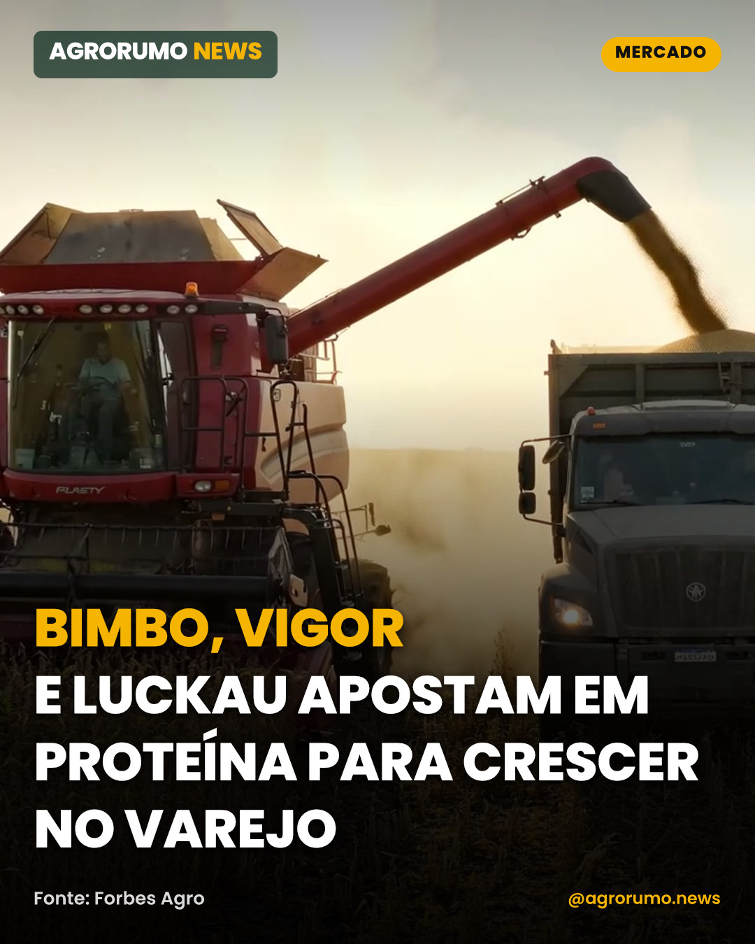 Bimbo, Vigor e Luckau apostam em proteína para crescer no varejo