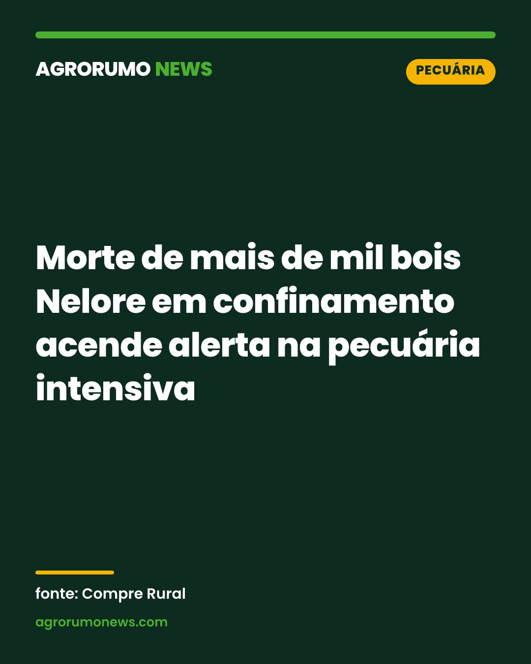 Morte de mais de mil bois Nelore em confinamento acende alerta na pecuária intensiva