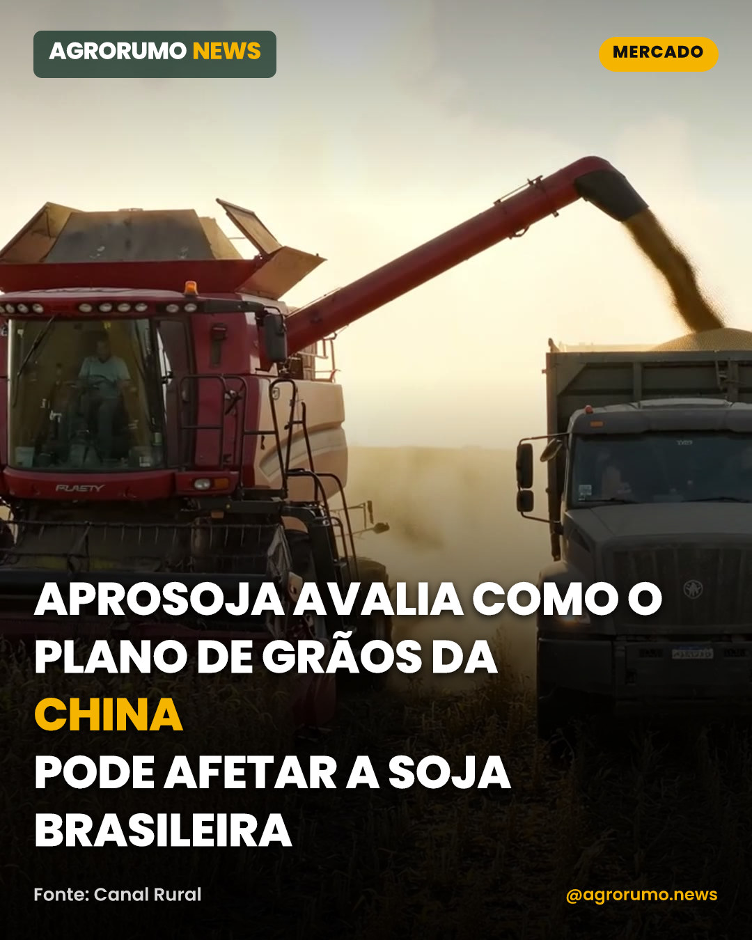 Aprosoja avalia como o plano de grãos da China pode afetar a soja brasileira