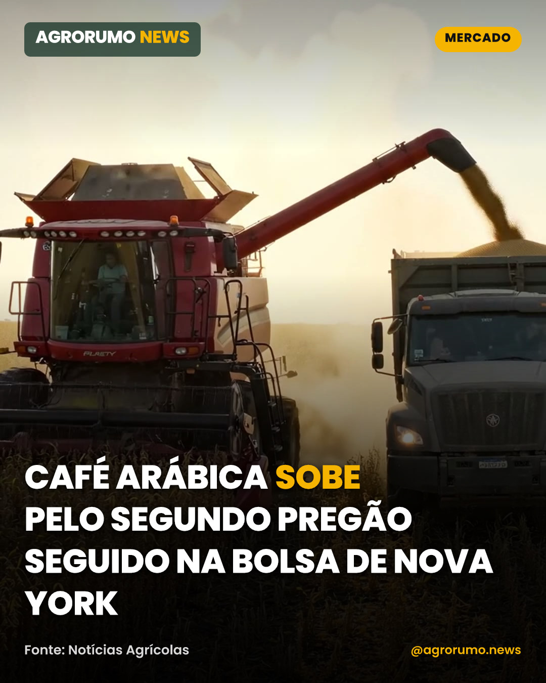 Café arábica sobe pelo segundo pregão seguido na Bolsa de Nova York