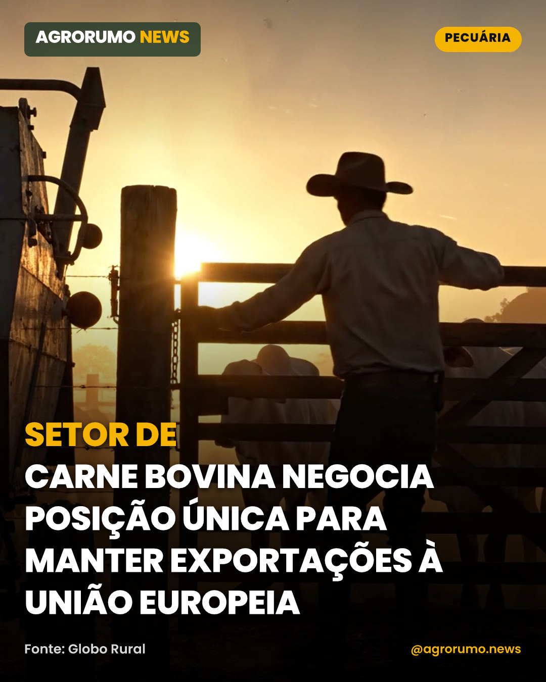 Setor de carne bovina negocia posição única para manter exportações à União Europeia