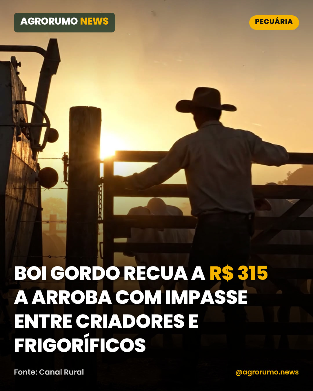 Boi gordo recua a R$ 315 a arroba com impasse entre criadores e frigoríficos