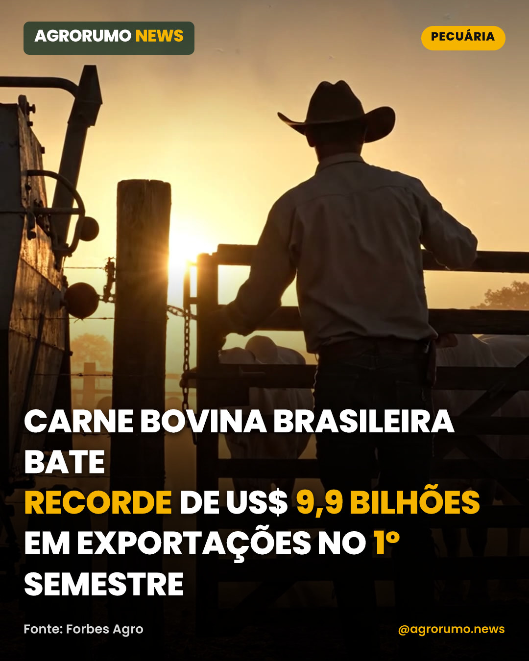 Carne bovina brasileira bate recorde de US$ 9,9 bilhões em exportações no 1º semestre
