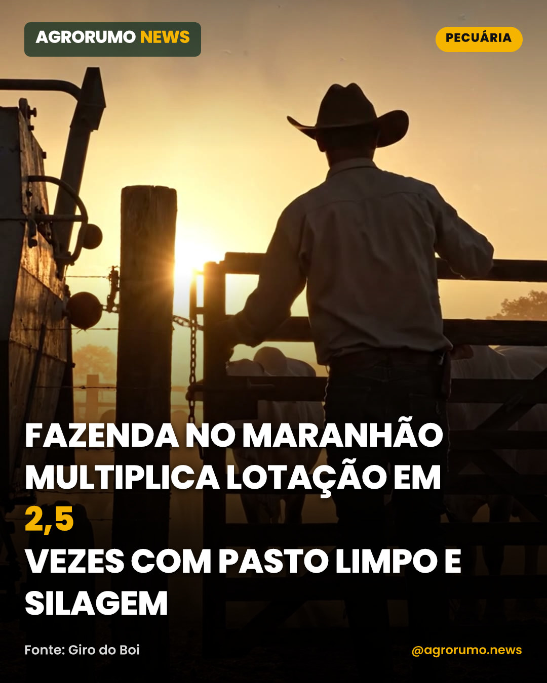 Fazenda no Maranhão multiplica lotação em 2,5 vezes com pasto limpo e silagem