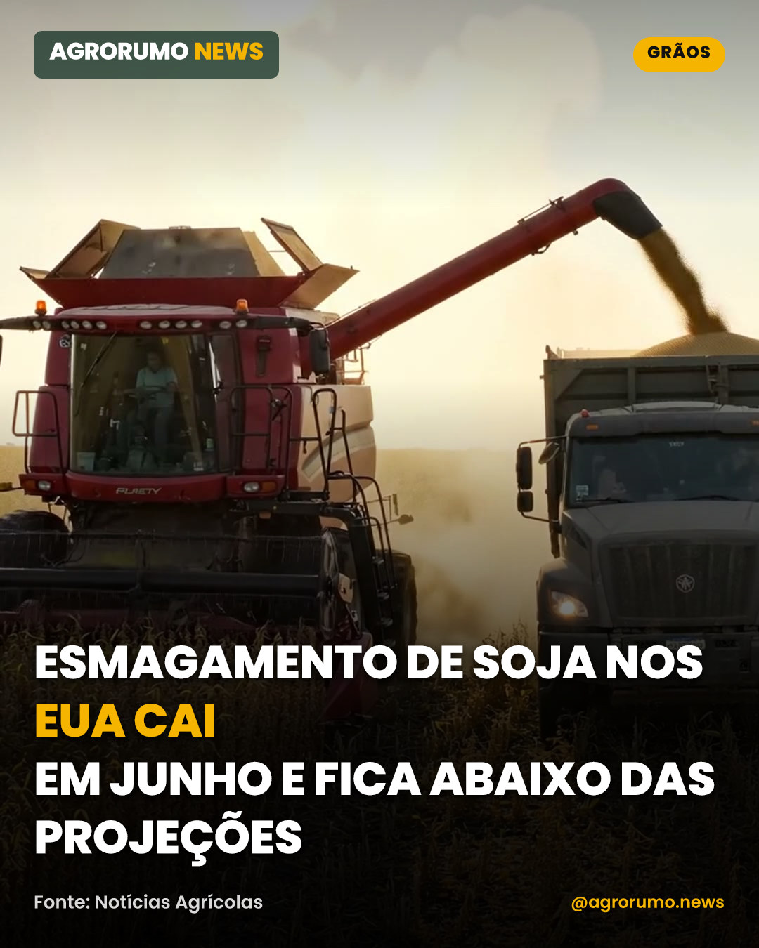 Esmagamento de soja nos EUA cai em junho e fica abaixo das projeções