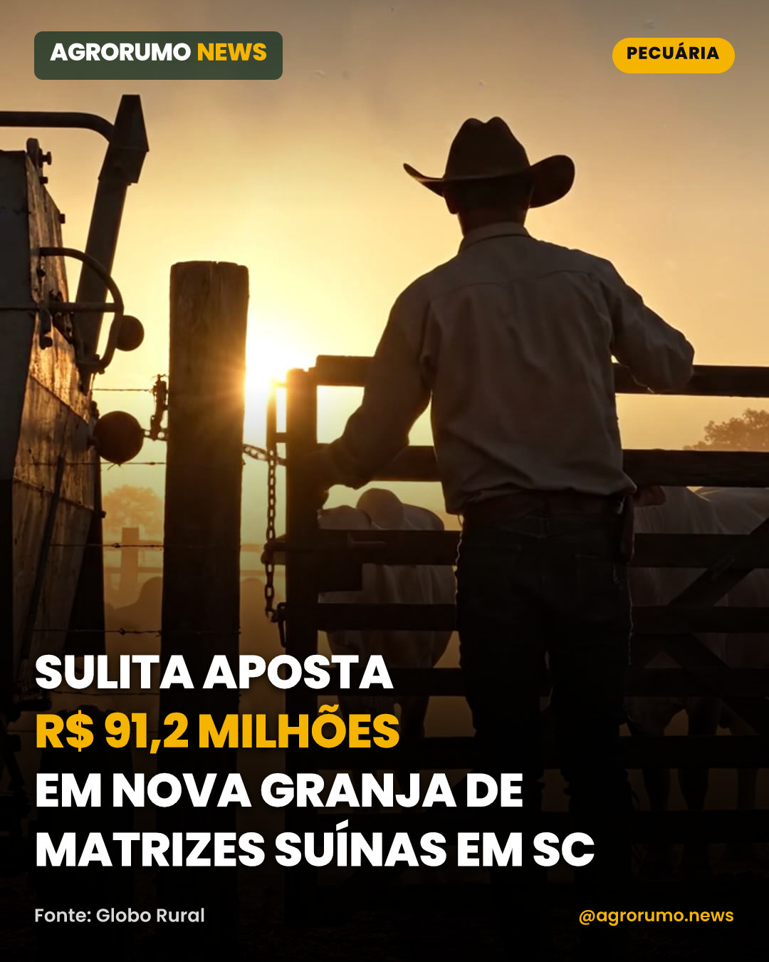 Sulita aposta R$ 91,2 milhões em nova granja de matrizes suínas em SC