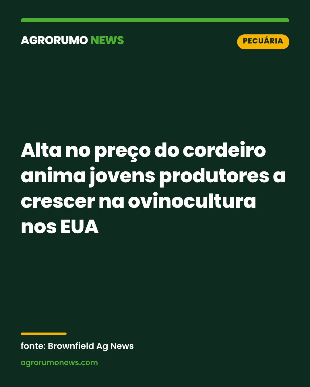 Alta no preço do cordeiro anima jovens produtores a crescer na ovinocultura nos EUA