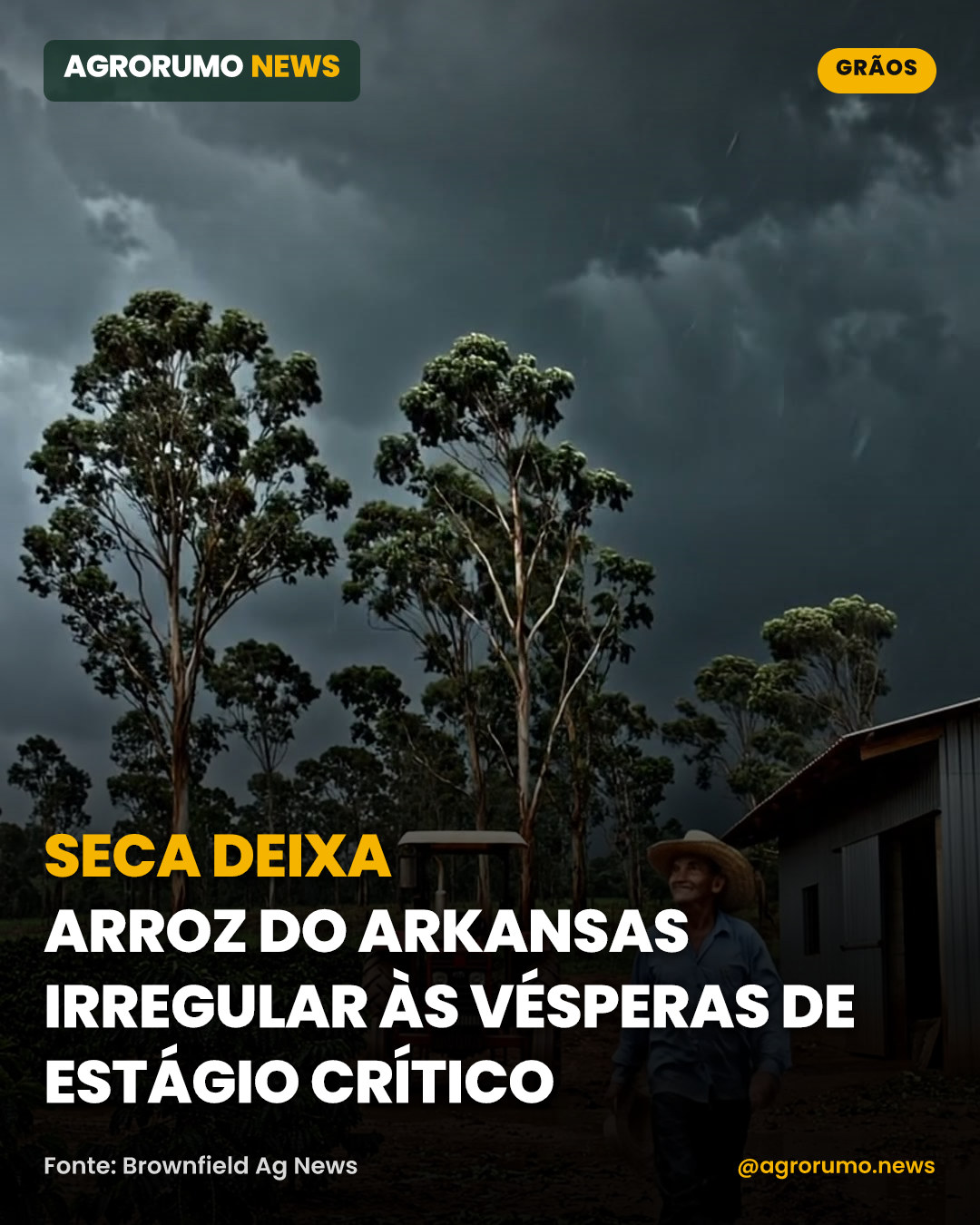 Seca deixa arroz do Arkansas irregular às vésperas de estágio crítico