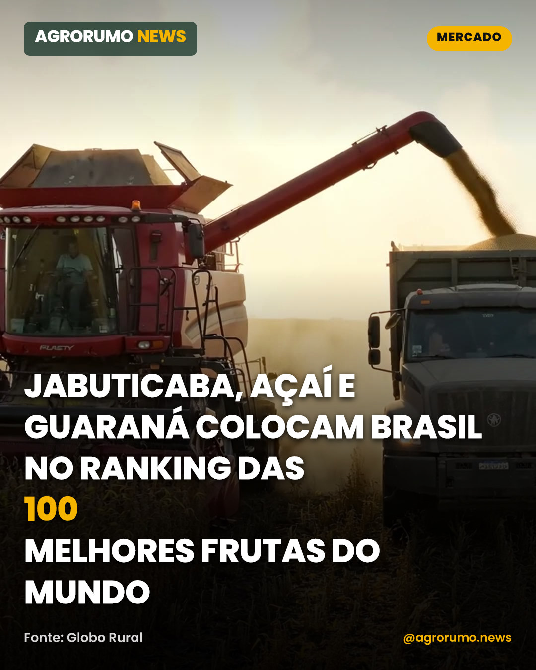 Jabuticaba, açaí e guaraná colocam Brasil no ranking das 100 melhores frutas do mundo