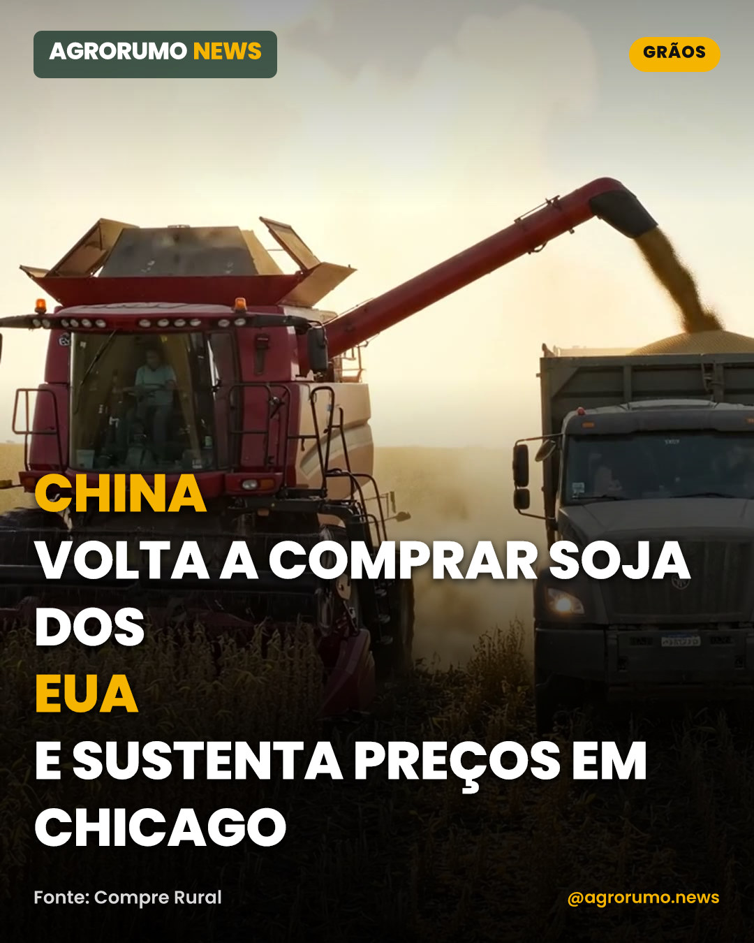 China volta a comprar soja dos EUA e sustenta preços em Chicago