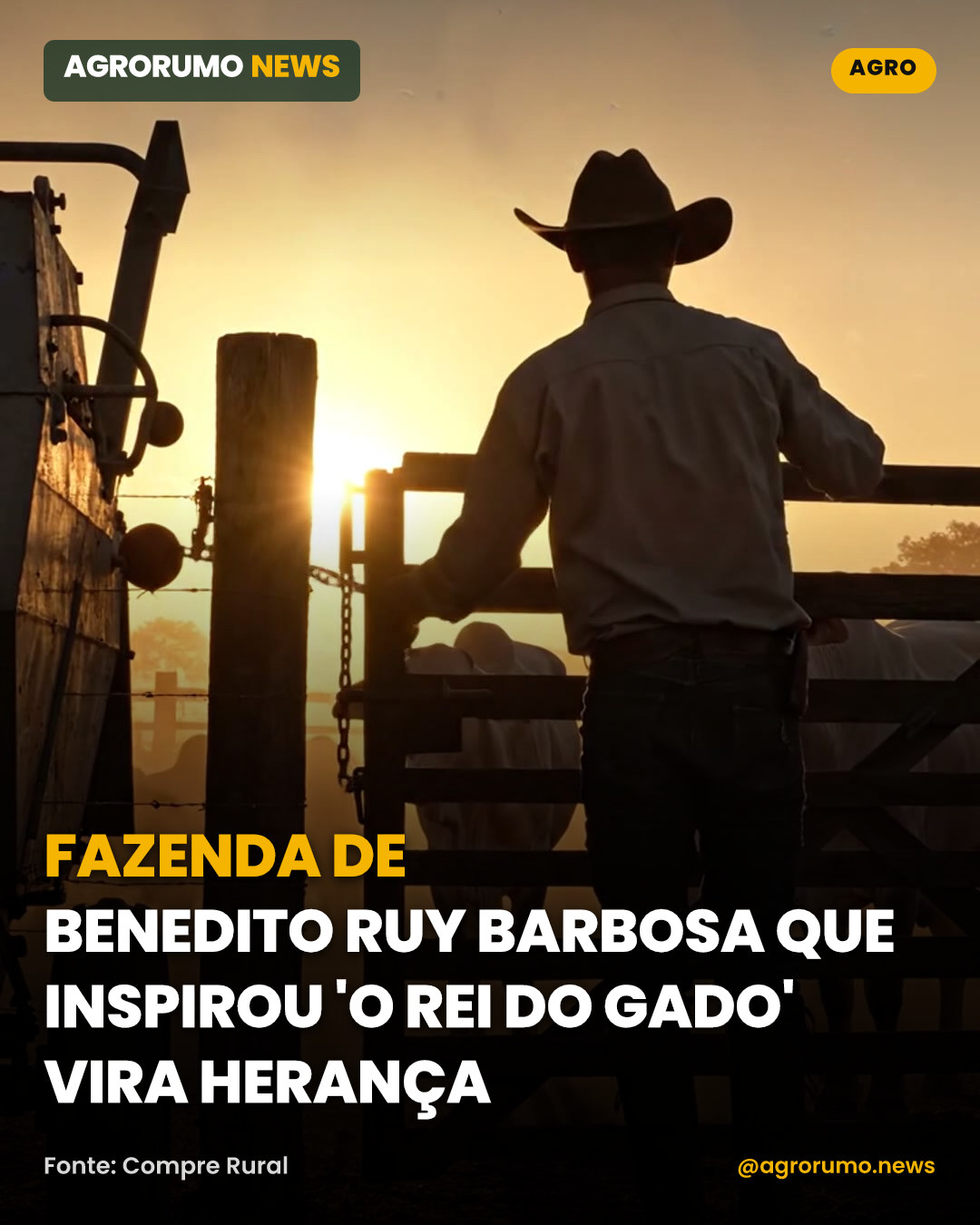 Fazenda de Benedito Ruy Barbosa que inspirou 'O Rei do Gado' vira herança