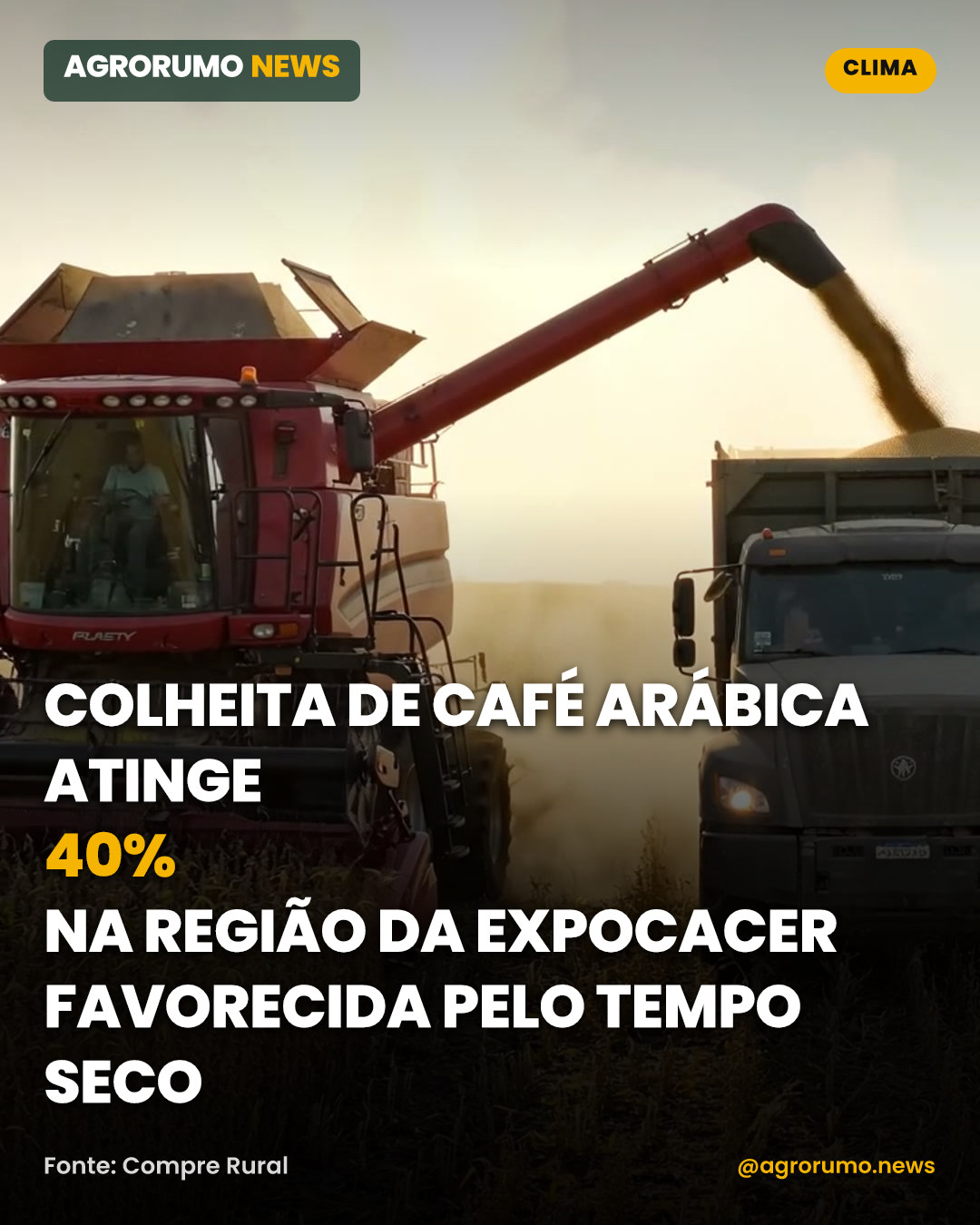Colheita de café arábica atinge 40% na região da Expocacer favorecida pelo tempo seco