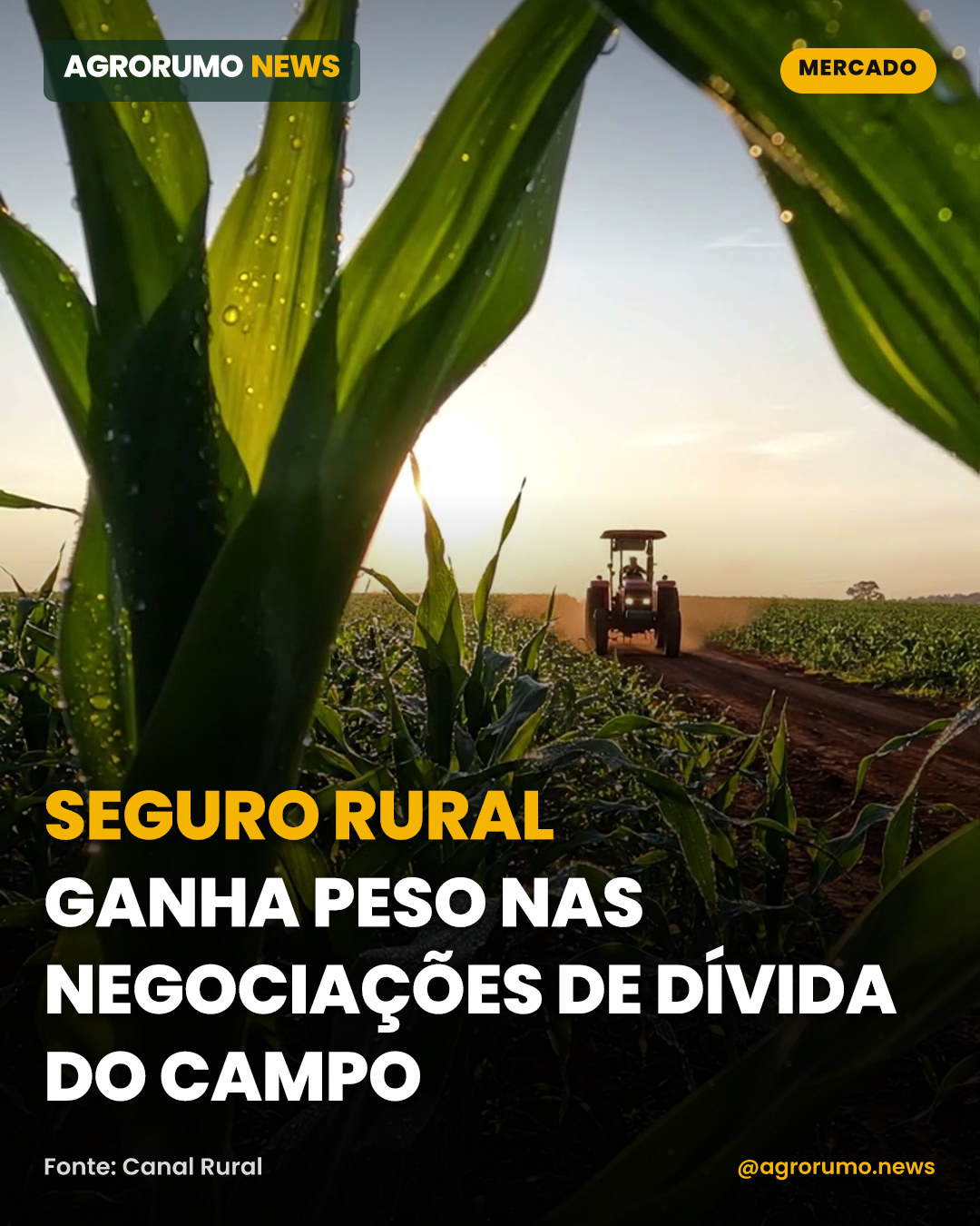 Seguro rural ganha peso nas negociações de dívida do campo