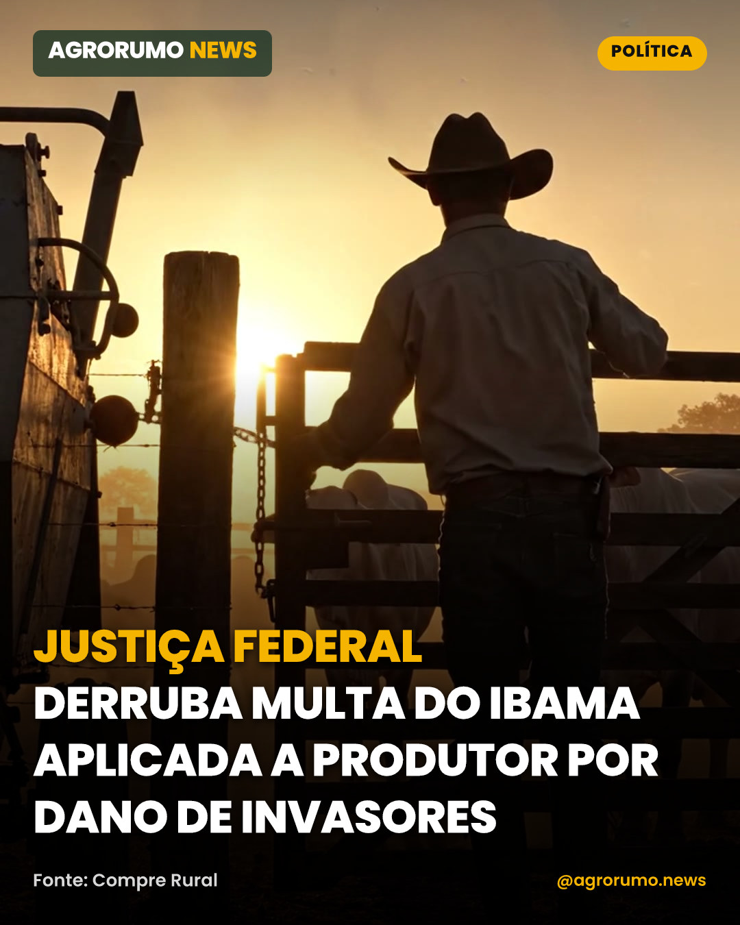 Justiça Federal derruba multa do Ibama aplicada a produtor por dano de invasores