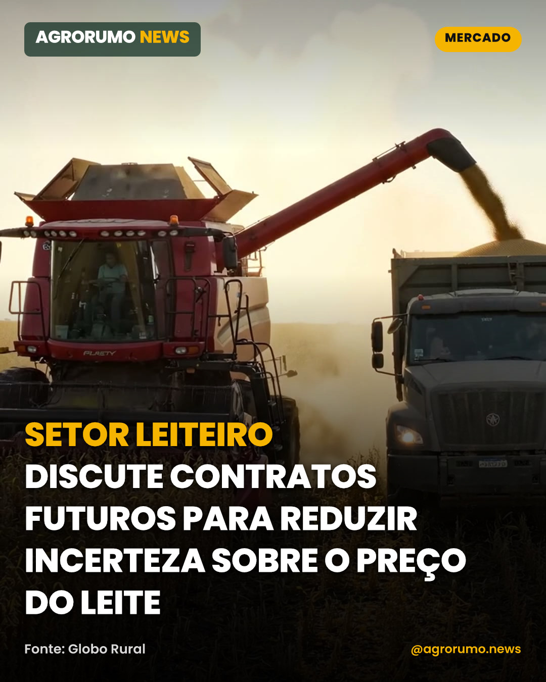 Setor leiteiro discute contratos futuros para reduzir incerteza sobre o preço do leite