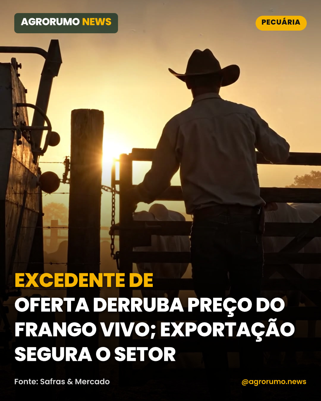 Excedente de oferta derruba preço do frango vivo; exportação segura o setor
