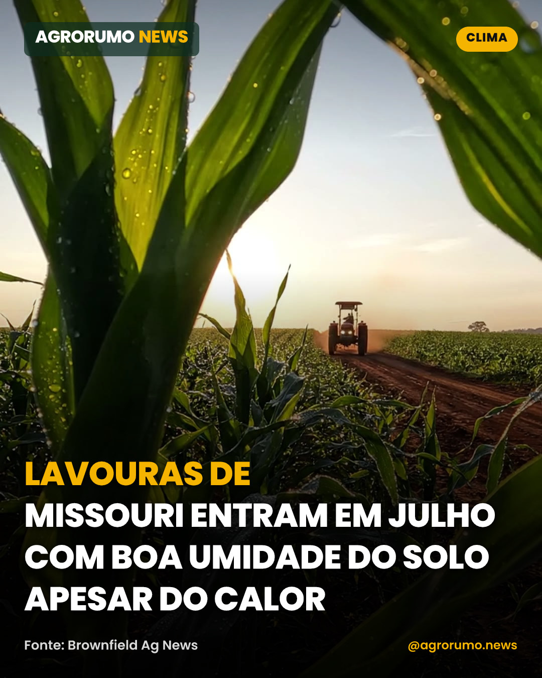 Lavouras de Missouri entram em julho com boa umidade do solo apesar do calor