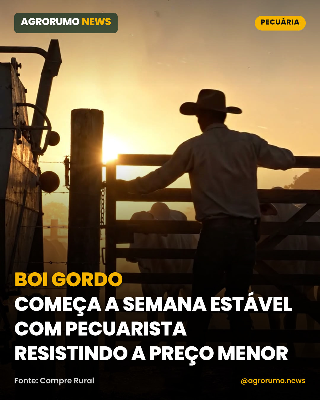Boi gordo começa a semana estável com pecuarista resistindo a preço menor