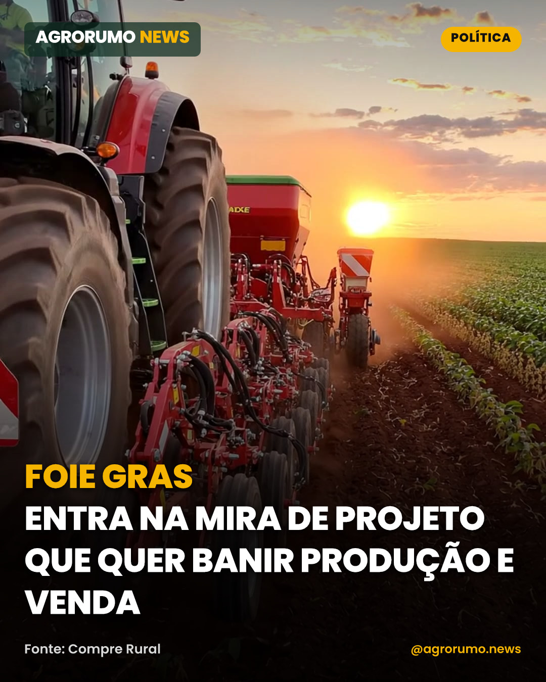 Foie gras entra na mira de projeto que quer banir produção e venda