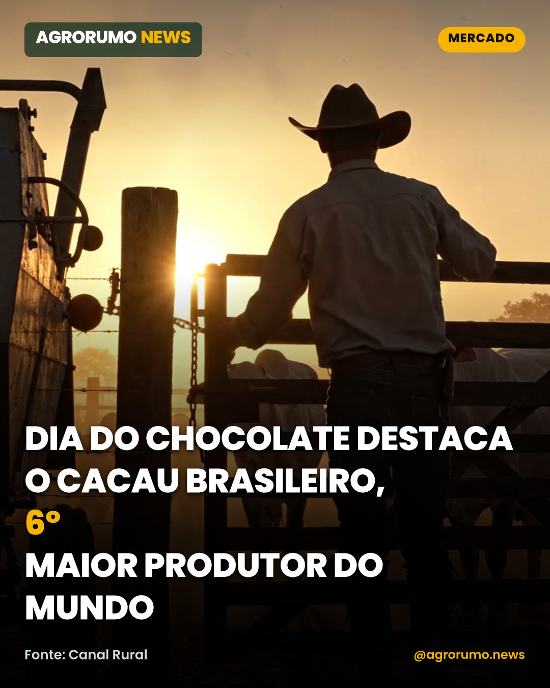 Dia do Chocolate destaca o cacau brasileiro, 6º maior produtor do mundo