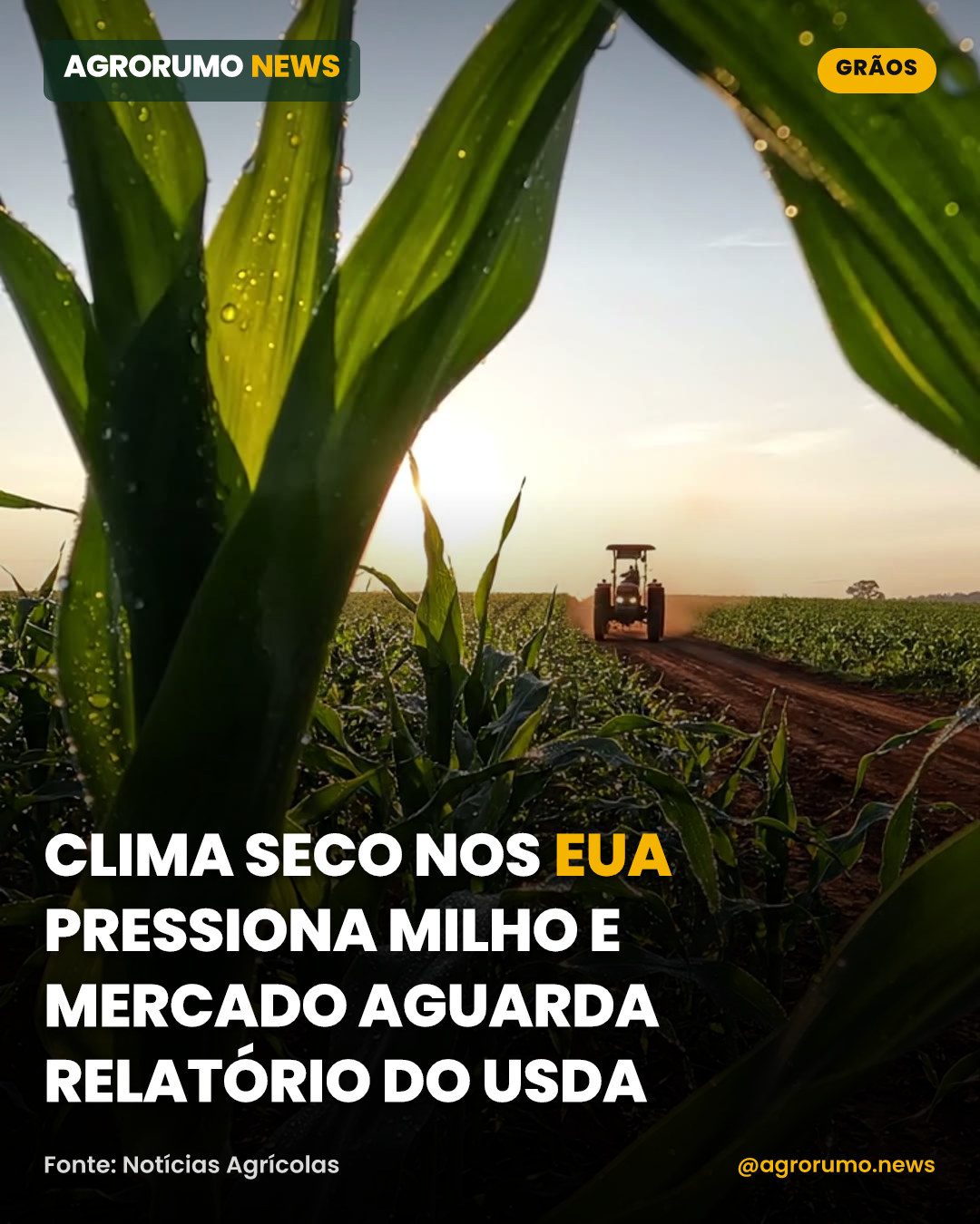 Clima seco nos EUA pressiona milho e mercado aguarda relatório do USDA