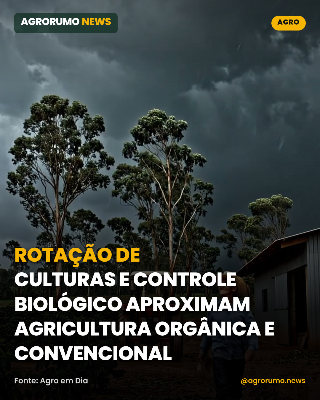Rotação de culturas e controle biológico aproximam agricultura orgânica e convencional